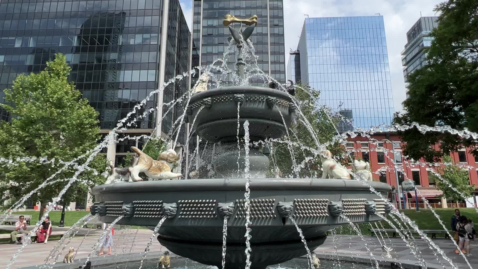 Dog fountain at Berczy Park in Toronto