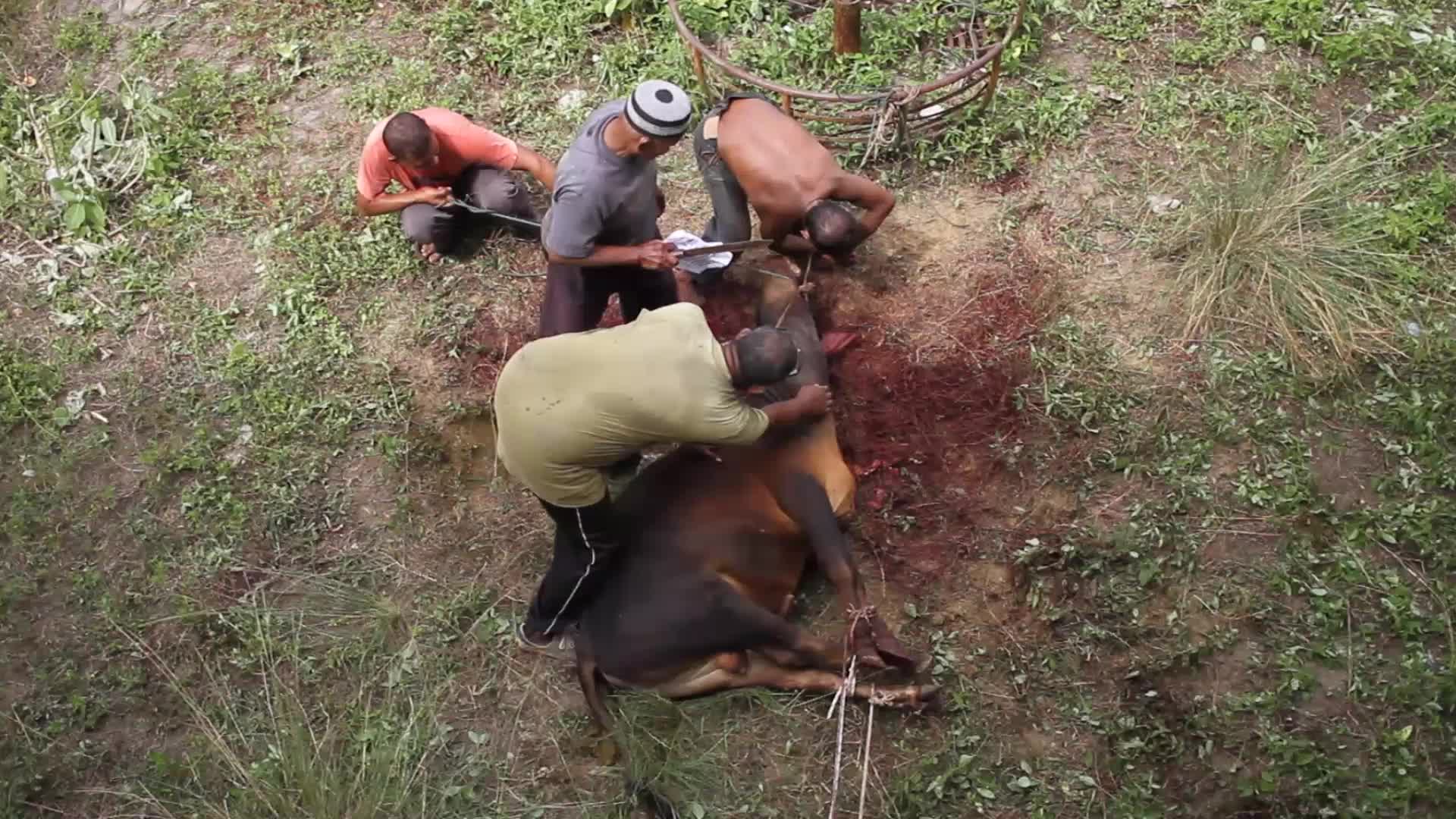 Eid al-Adha celebration in Aceh