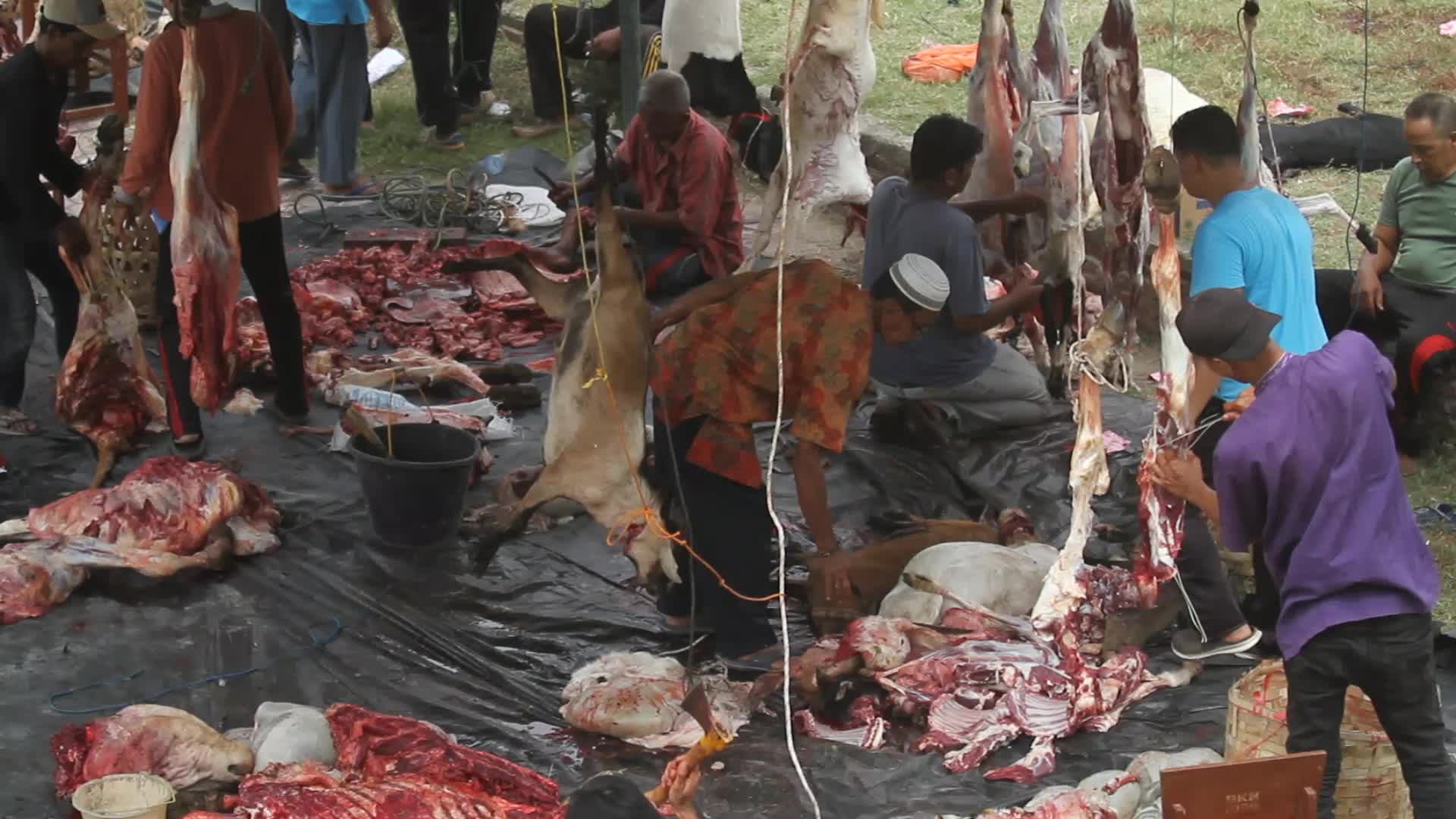 Eid al-Adha celebration in Aceh
