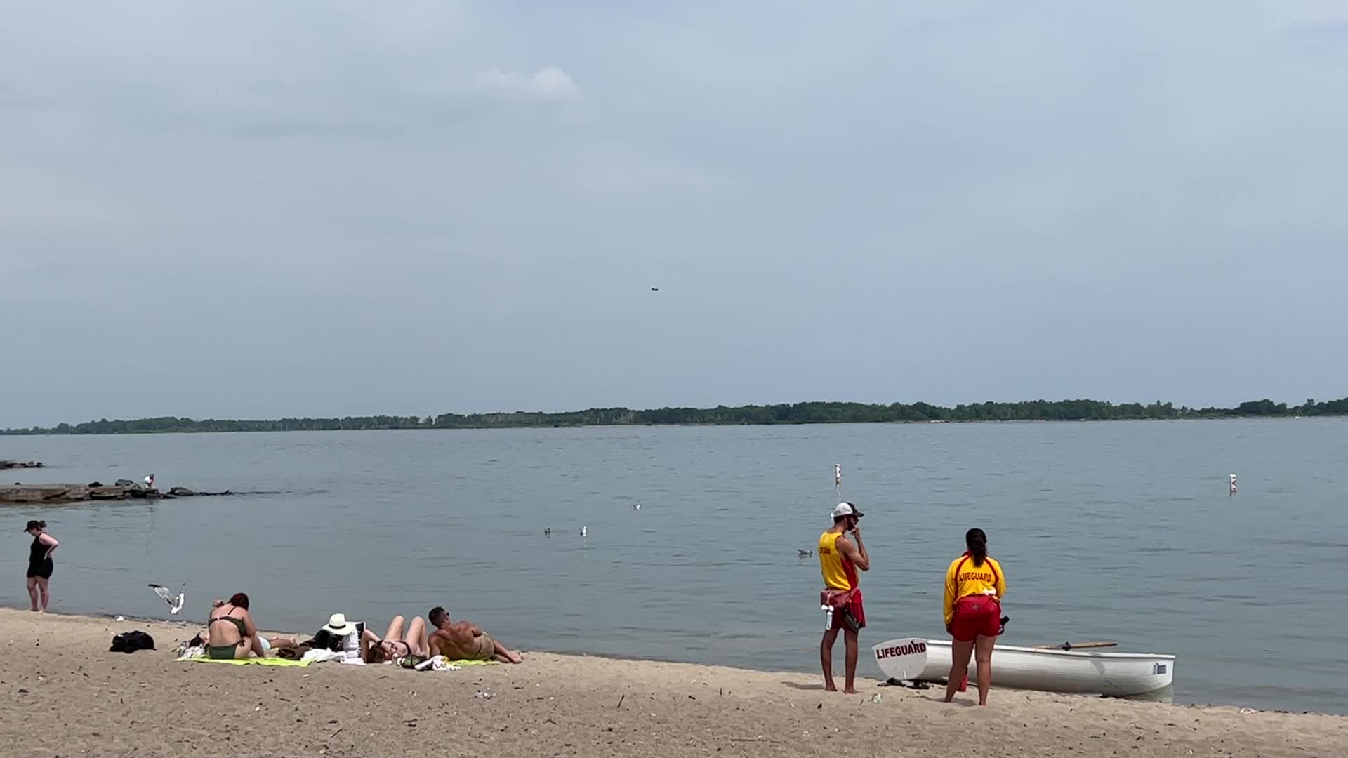 Hanlan's Point Beach