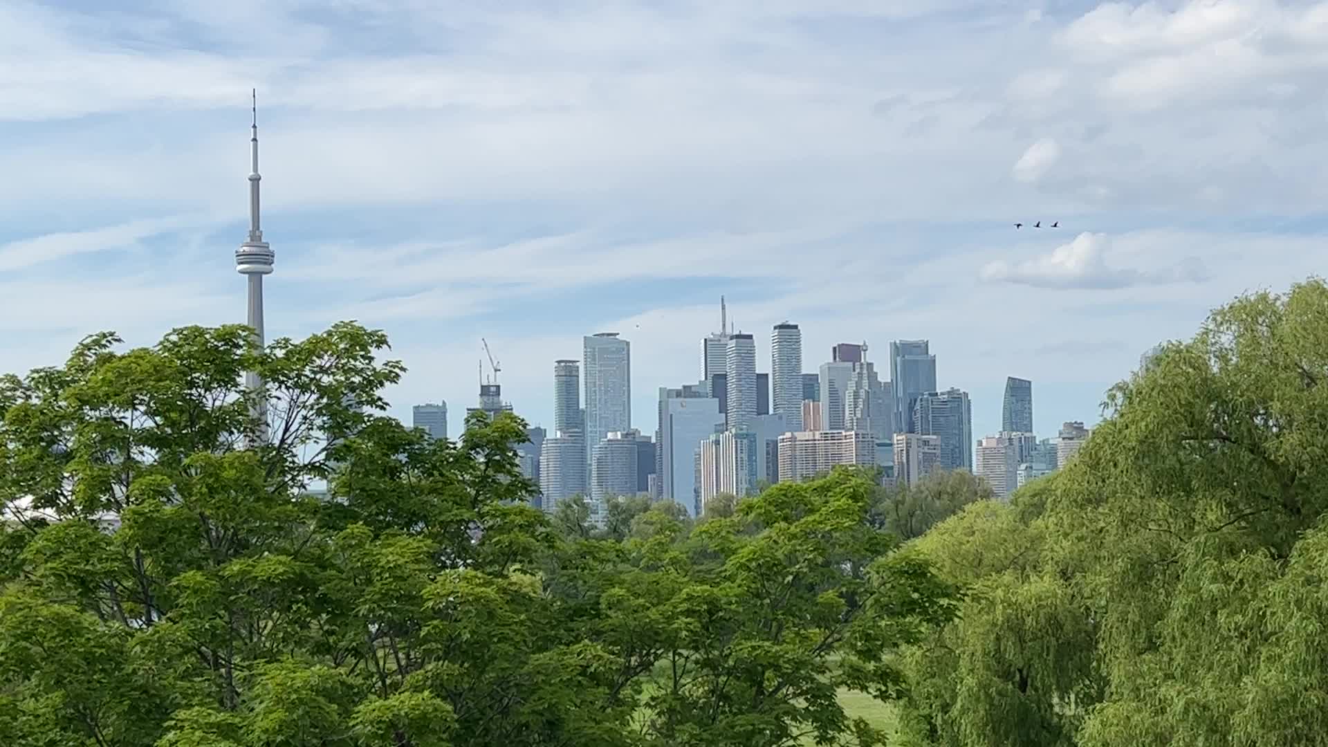 Daily life in Toronto, Canada