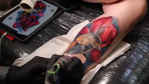 'Tattoo Collection 2019' In Kiev