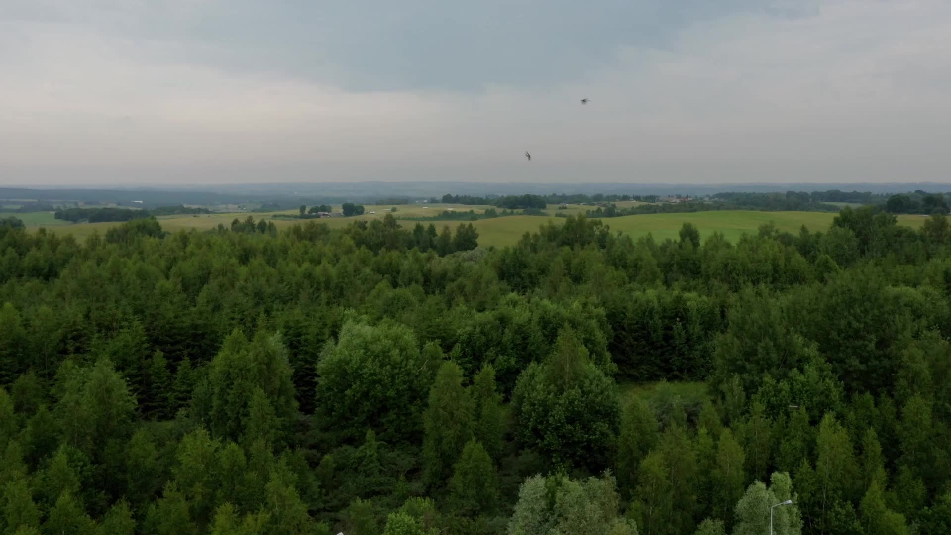 Polish-Lithuanian border crossing
