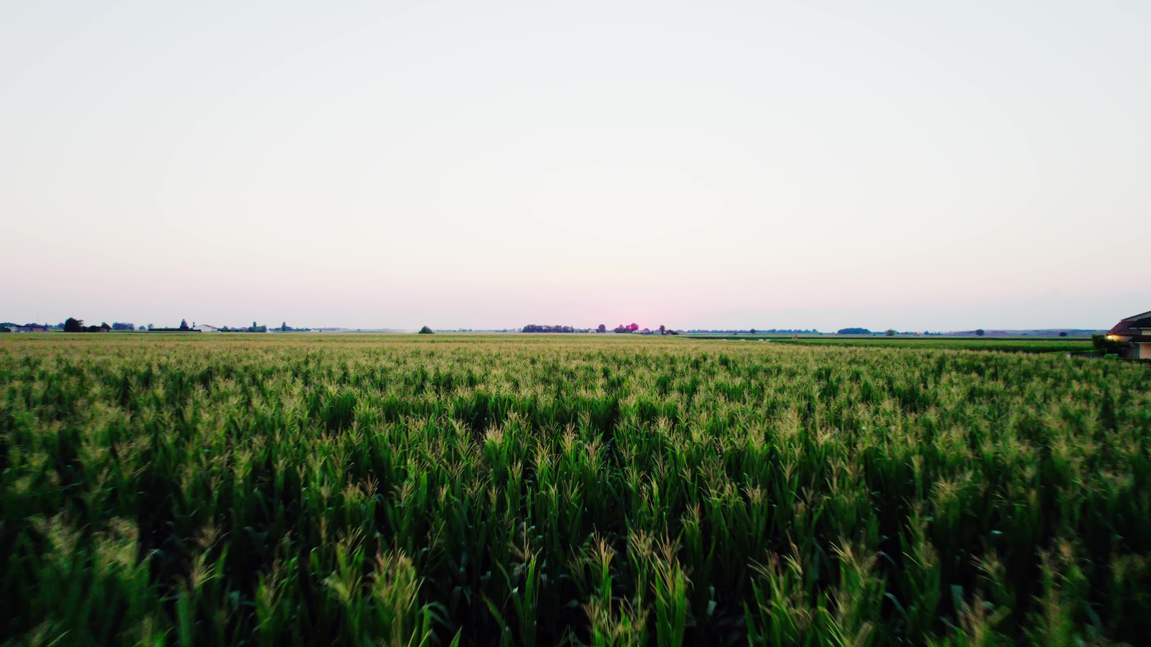 Drought: Italy Warns a Third of Farm Production At Risk