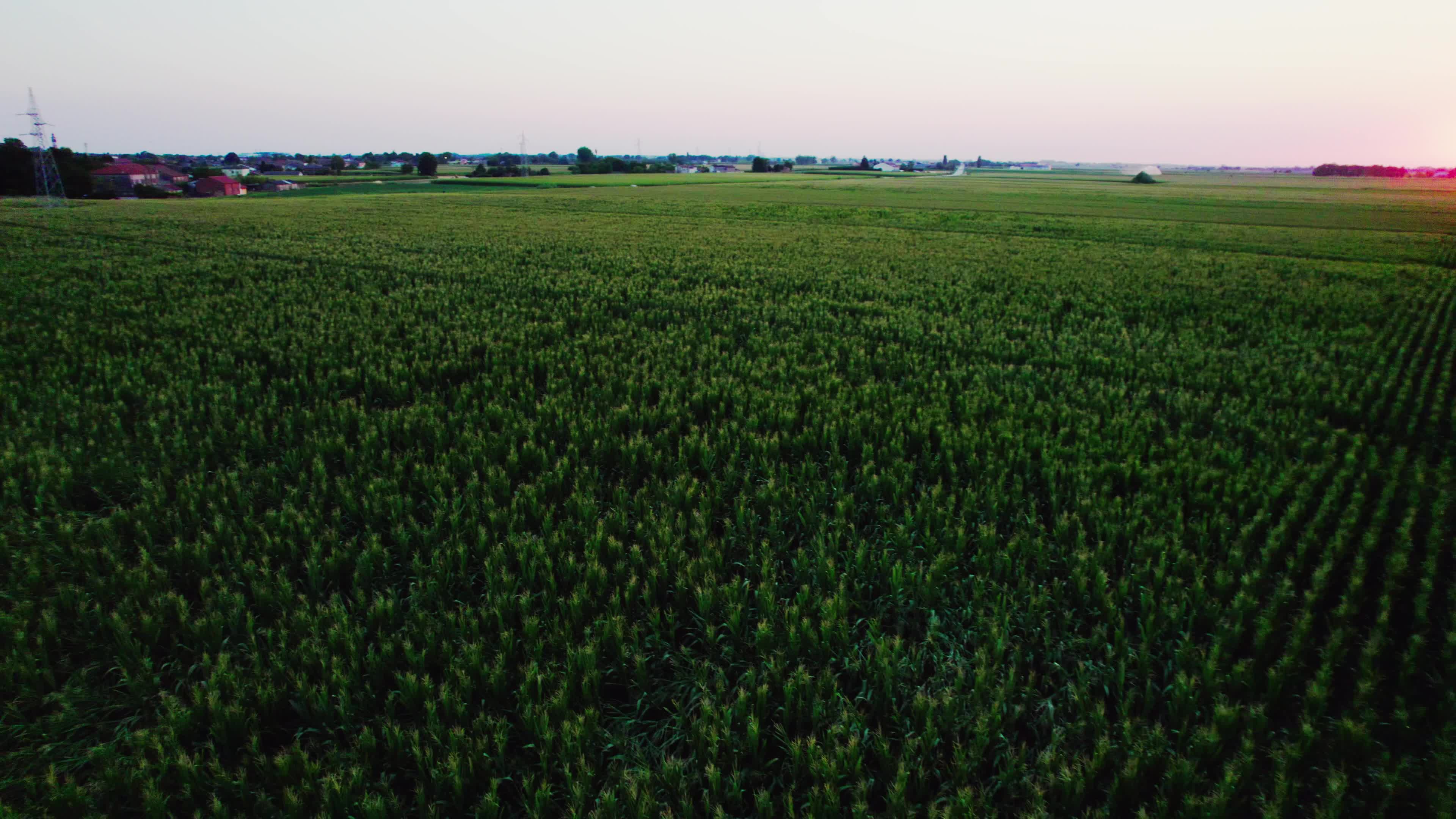 Drought: Italy Warns a Third of Farm Production At Risk
