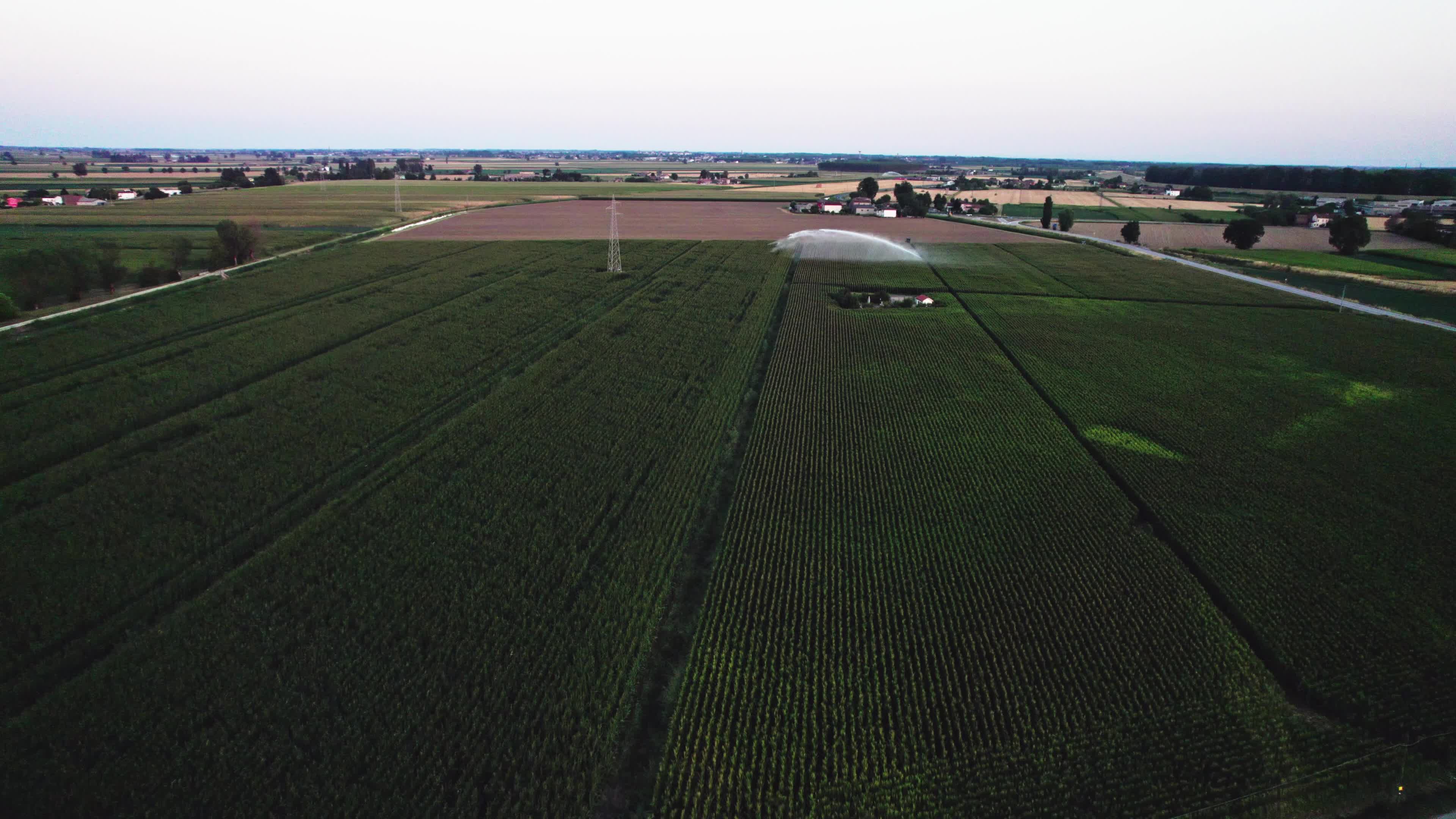 Drought: Italy Warns a Third of Farm Production At Risk
