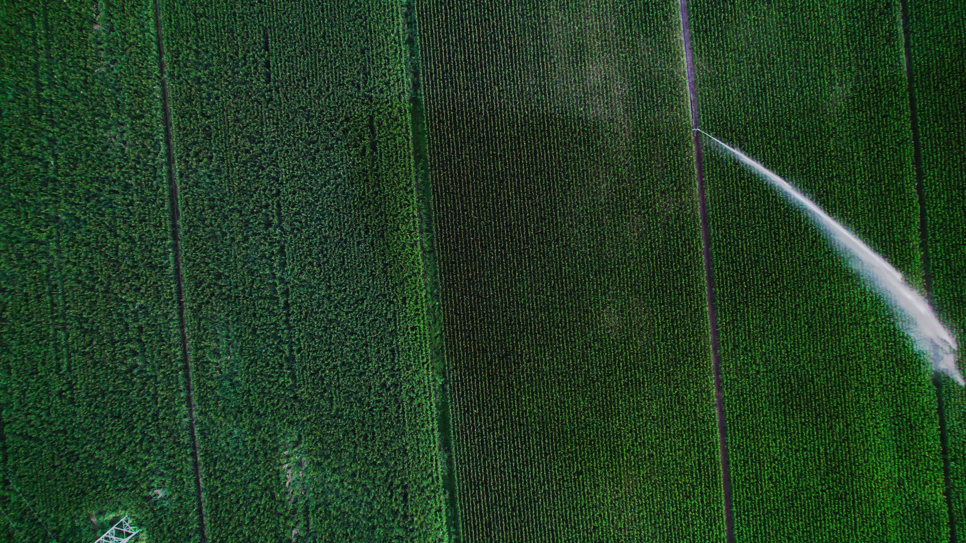 Drought: Italy Warns a Third of Farm Production At Risk