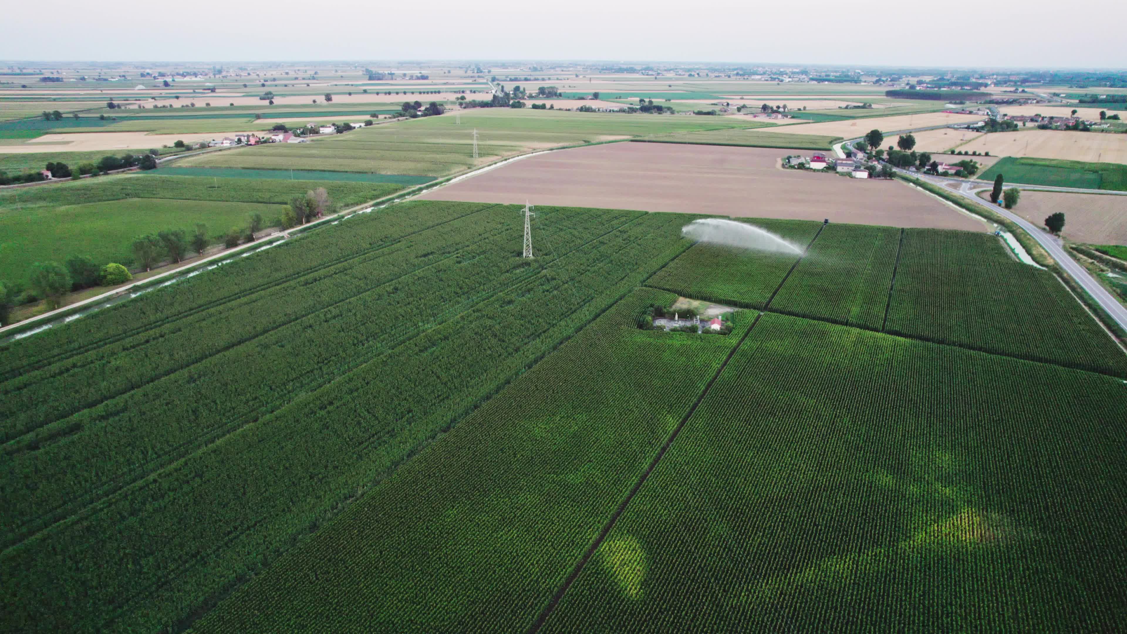 Drought: Italy Warns a Third of Farm Production At Risk