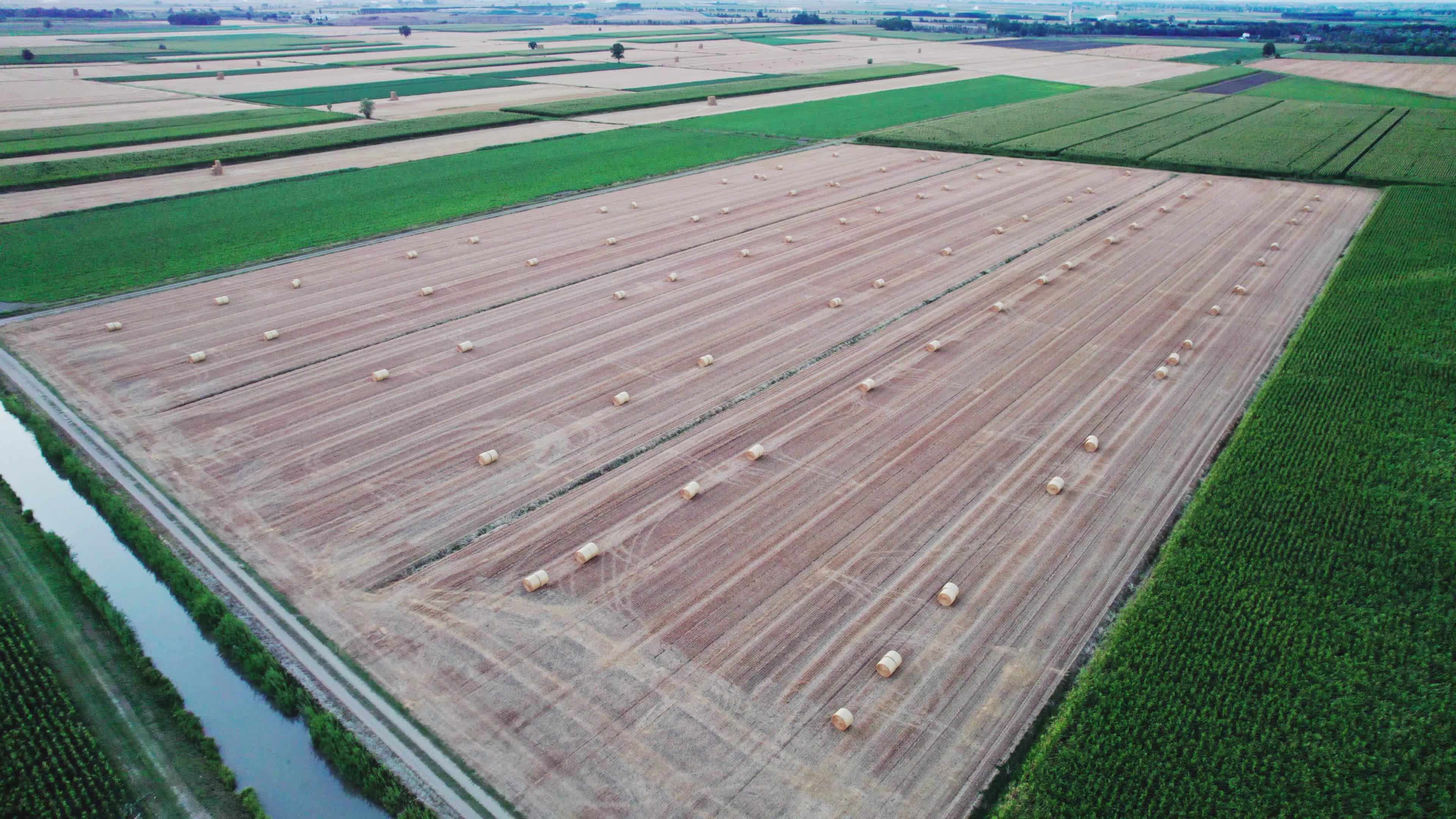 Drought: Italy Warns a Third of Farm Production At Risk