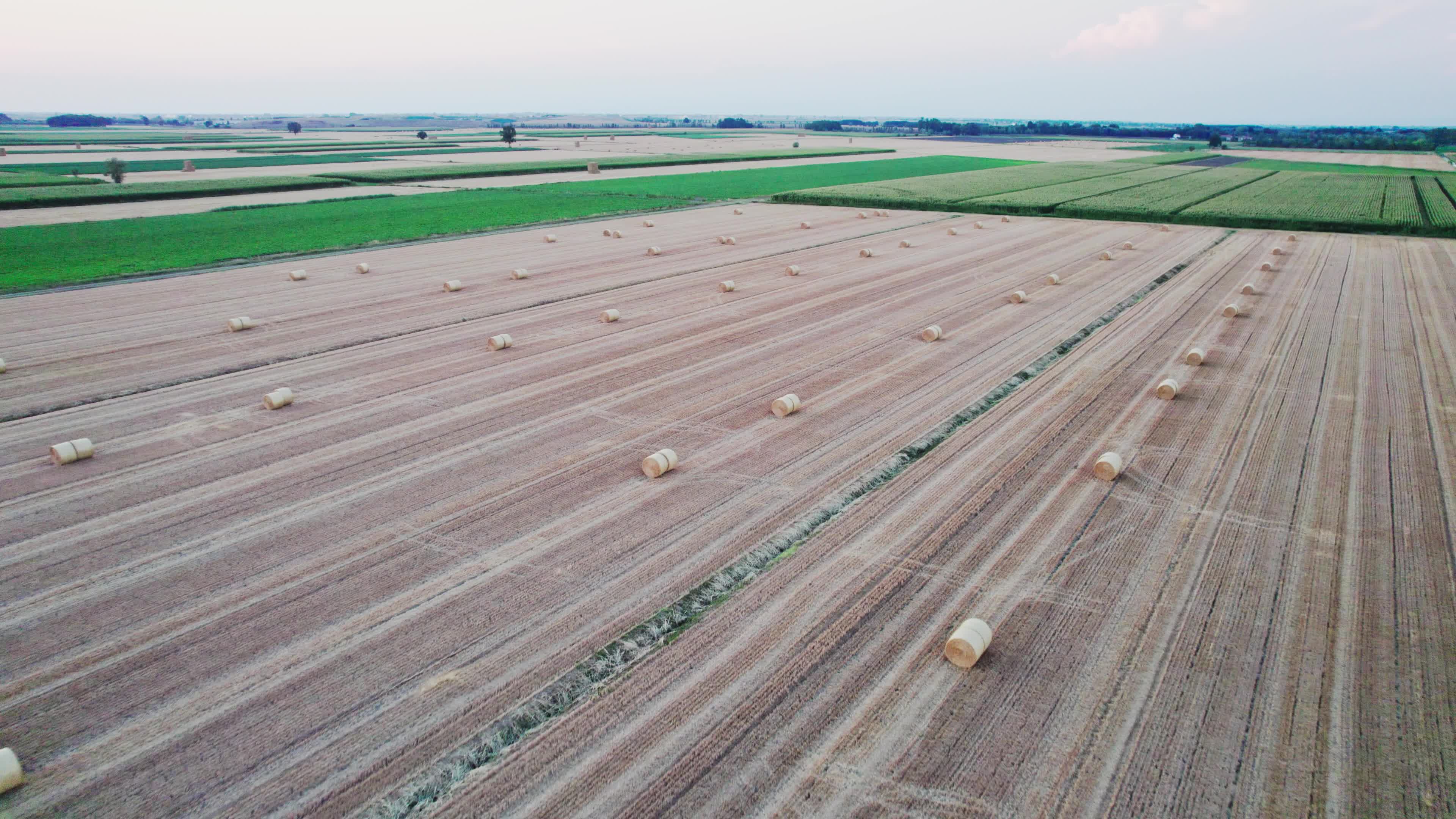 Drought: Italy Warns a Third of Farm Production At Risk