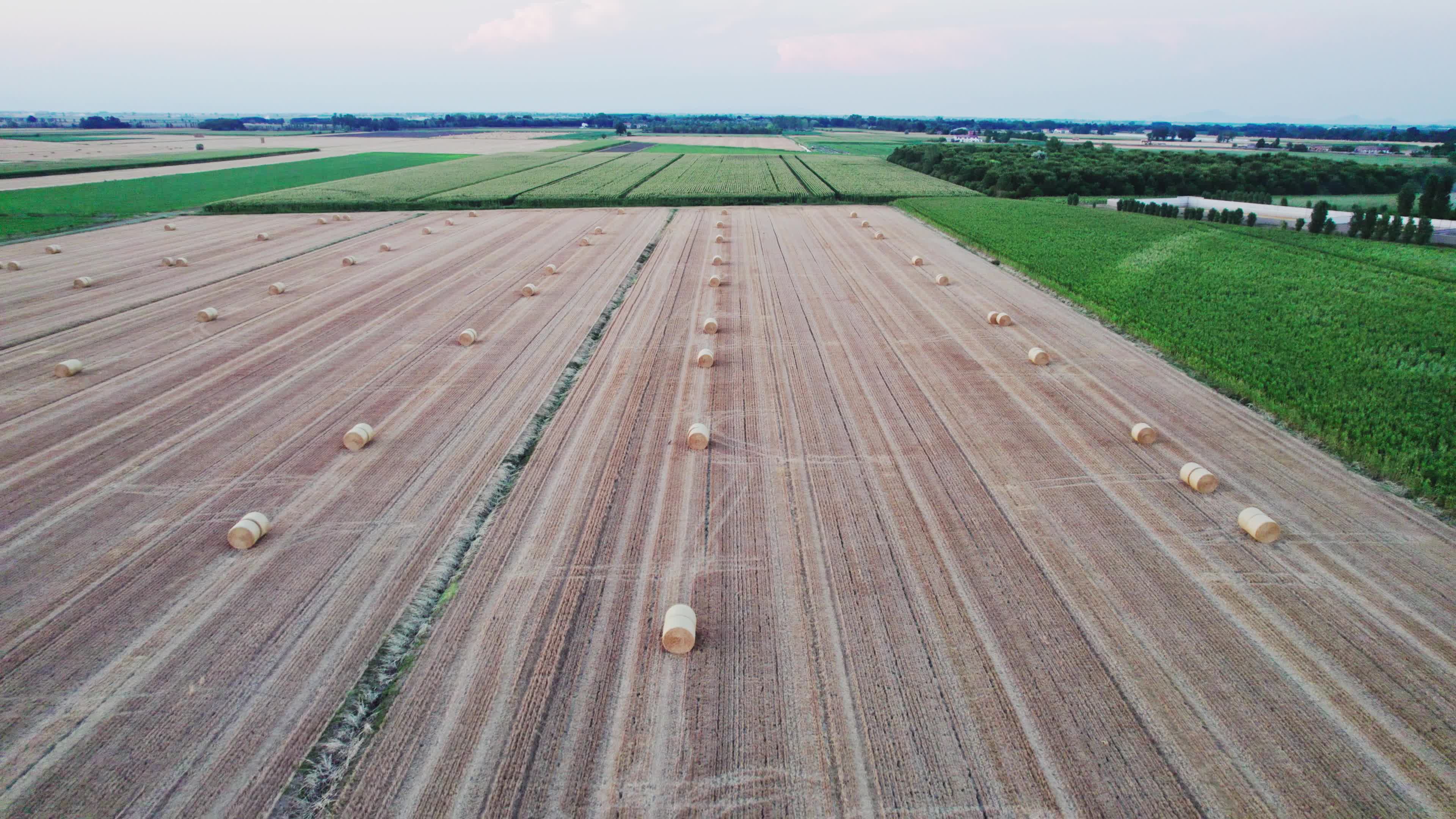 Drought: Italy Warns a Third of Farm Production At Risk