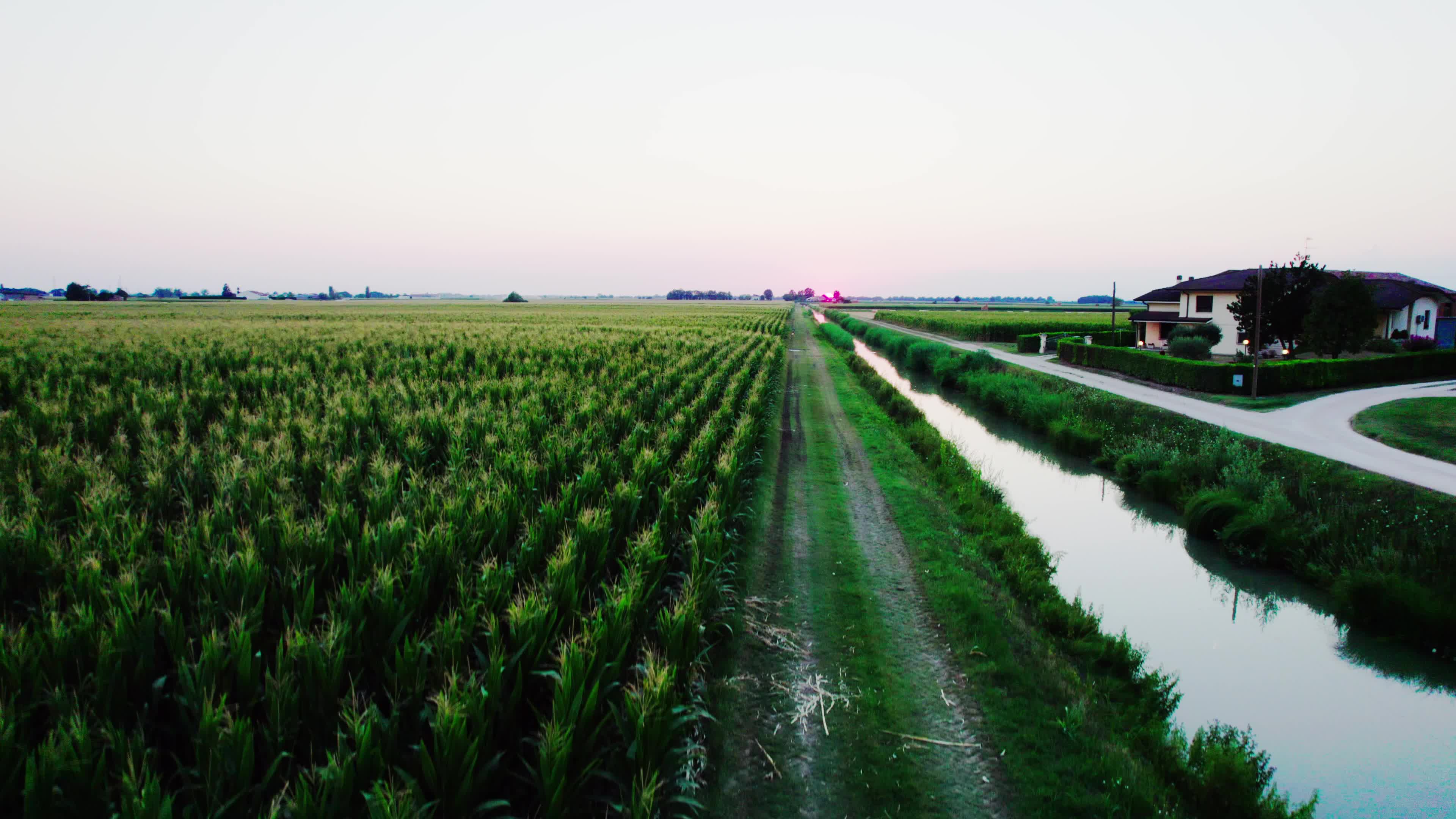 Drought: Italy Warns a Third of Farm Production At Risk