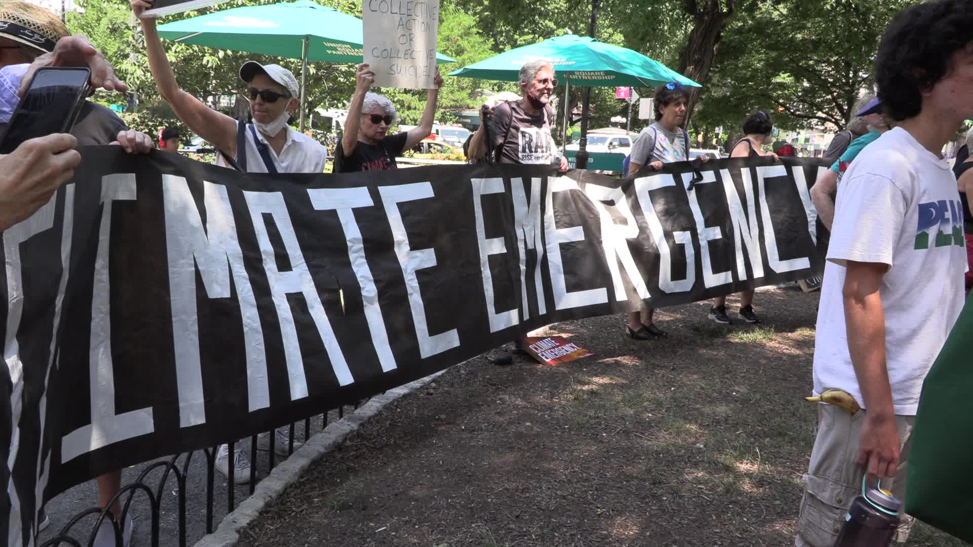 NYC: Climate Emergency Day