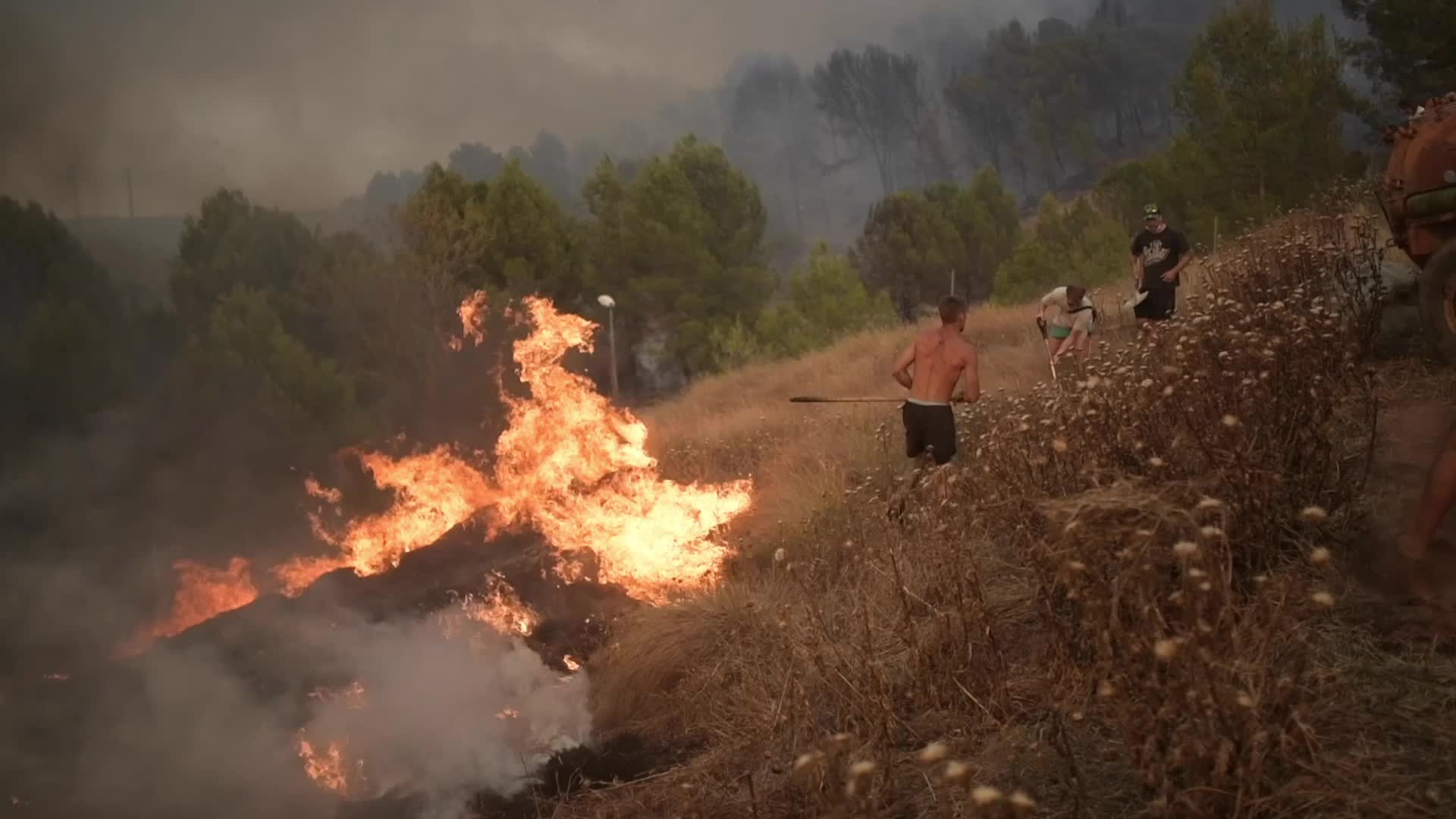 Wildfire in Catalonia