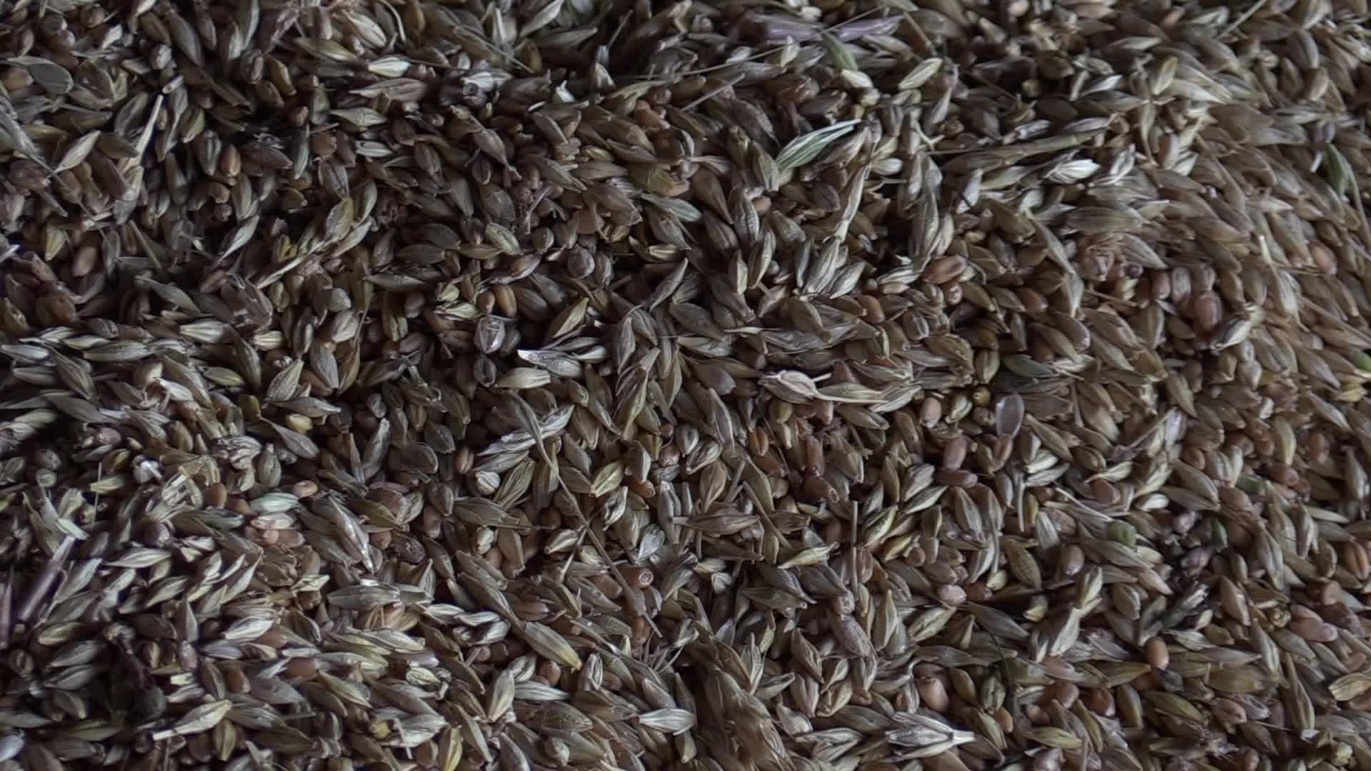 A storage with wheat and barley grain at a terminal in Odesa region, amid Russia's invasion of Ukraine