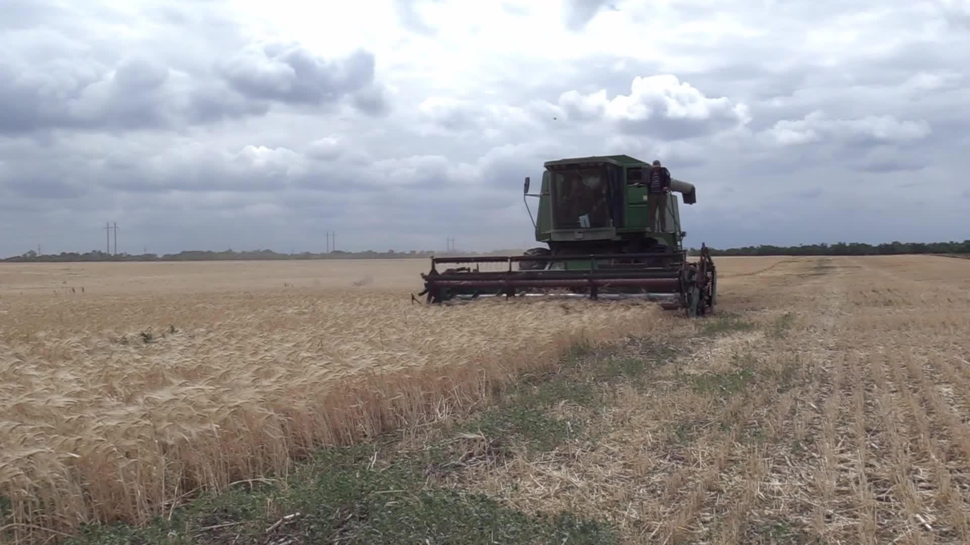 Ukrainian farmers harvesting grain of winter barley in Odesa region, amid Russia's invasion of Ukraine