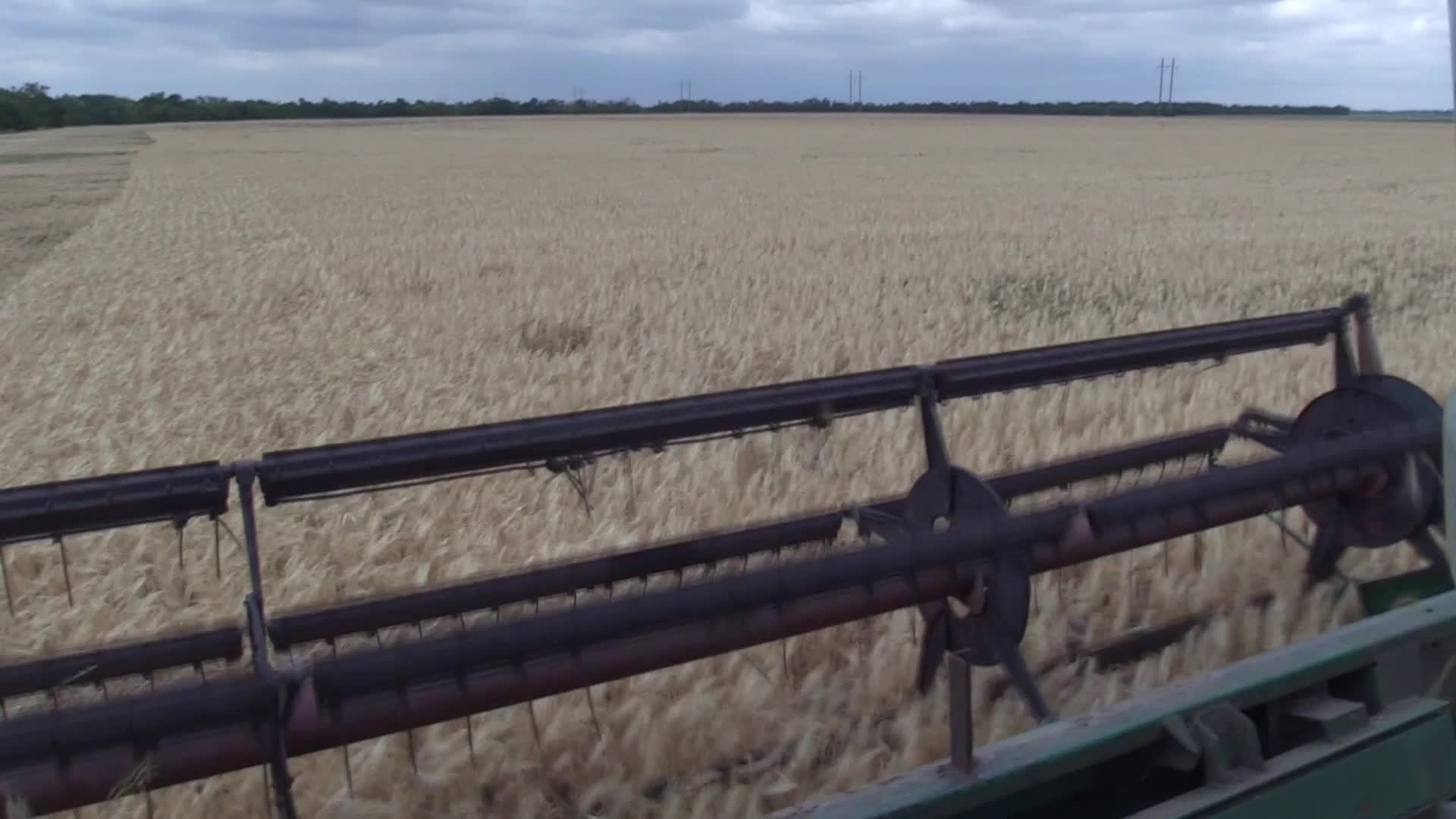 Ukrainian farmers harvesting grain of winter barley in Odesa region, amid Russia's invasion of Ukraine
