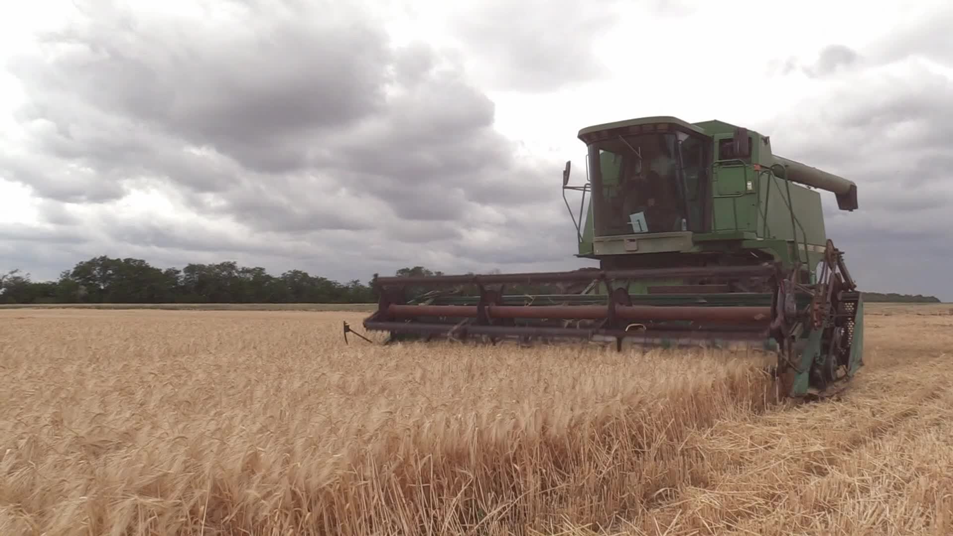 Ukrainian farmers harvesting grain of winter barley in Odesa region, amid Russia's invasion of Ukraine