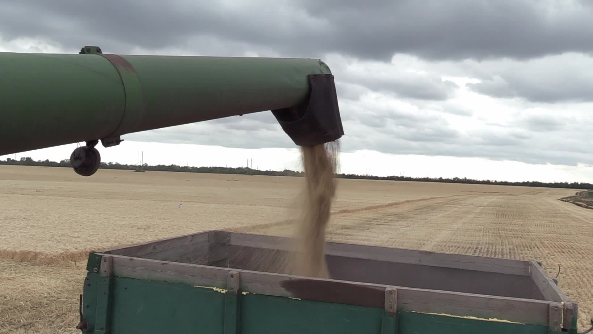 Ukrainian farmers harvesting grain of winter barley in Odesa region, amid Russia's invasion of Ukraine
