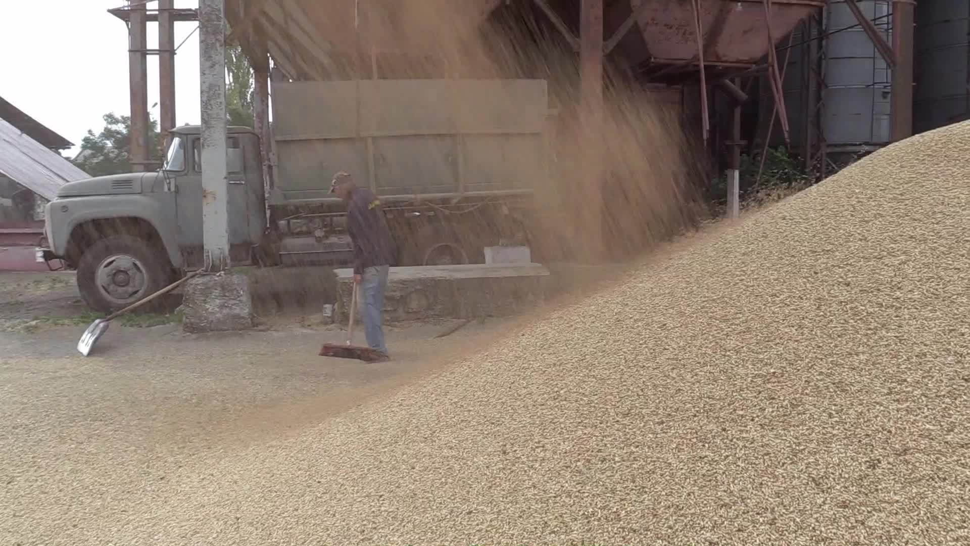 Ukrainian farmers upload barley and wheat grain at a terminal in Odesa region, amid Russia's invasion of Ukraine