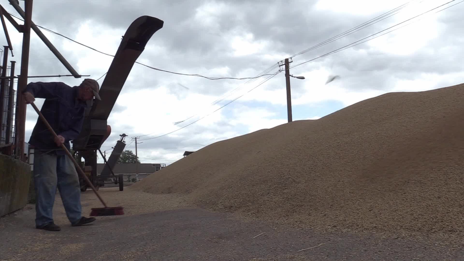 Ukrainian farmers upload barley and wheat grain at a terminal in Odesa region, amid Russia's invasion of Ukraine