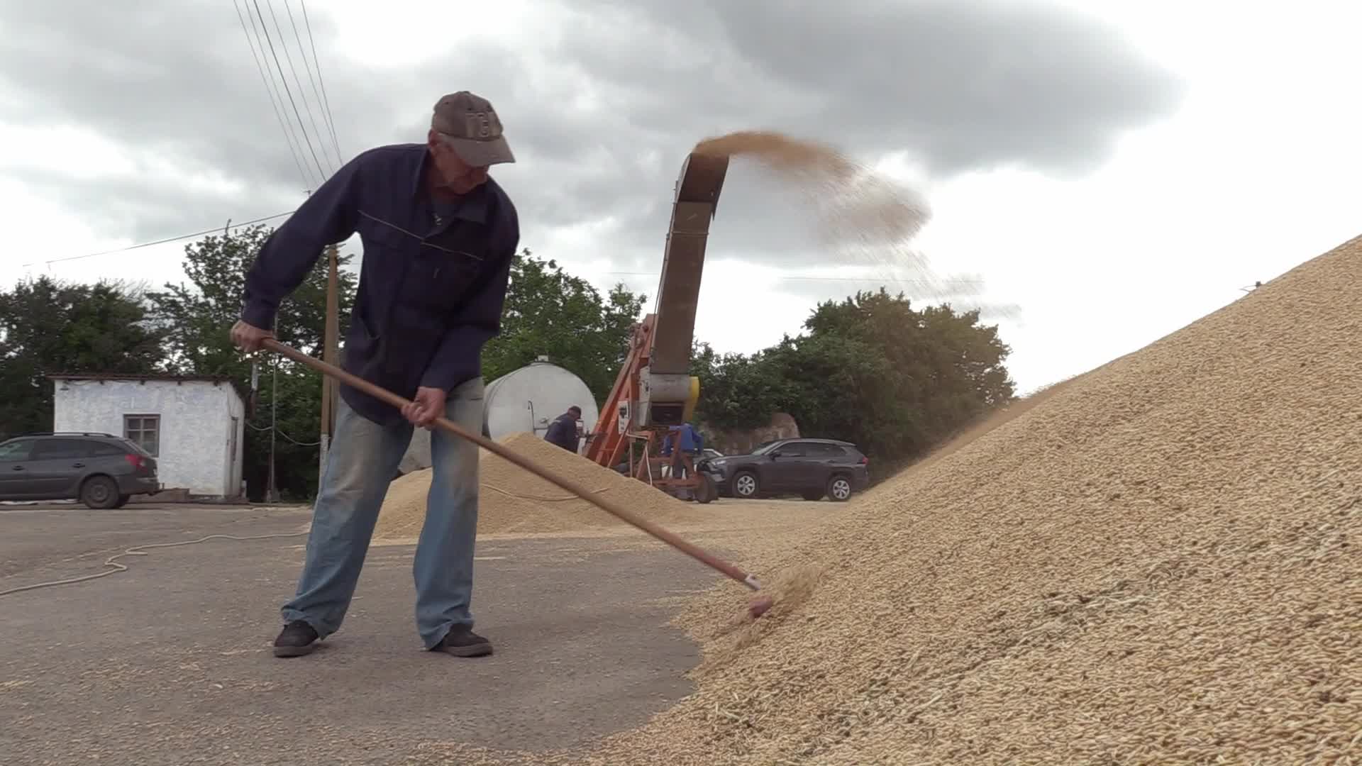 Ukrainian farmers upload barley and wheat grain at a terminal in Odesa region, amid Russia's invasion of Ukraine