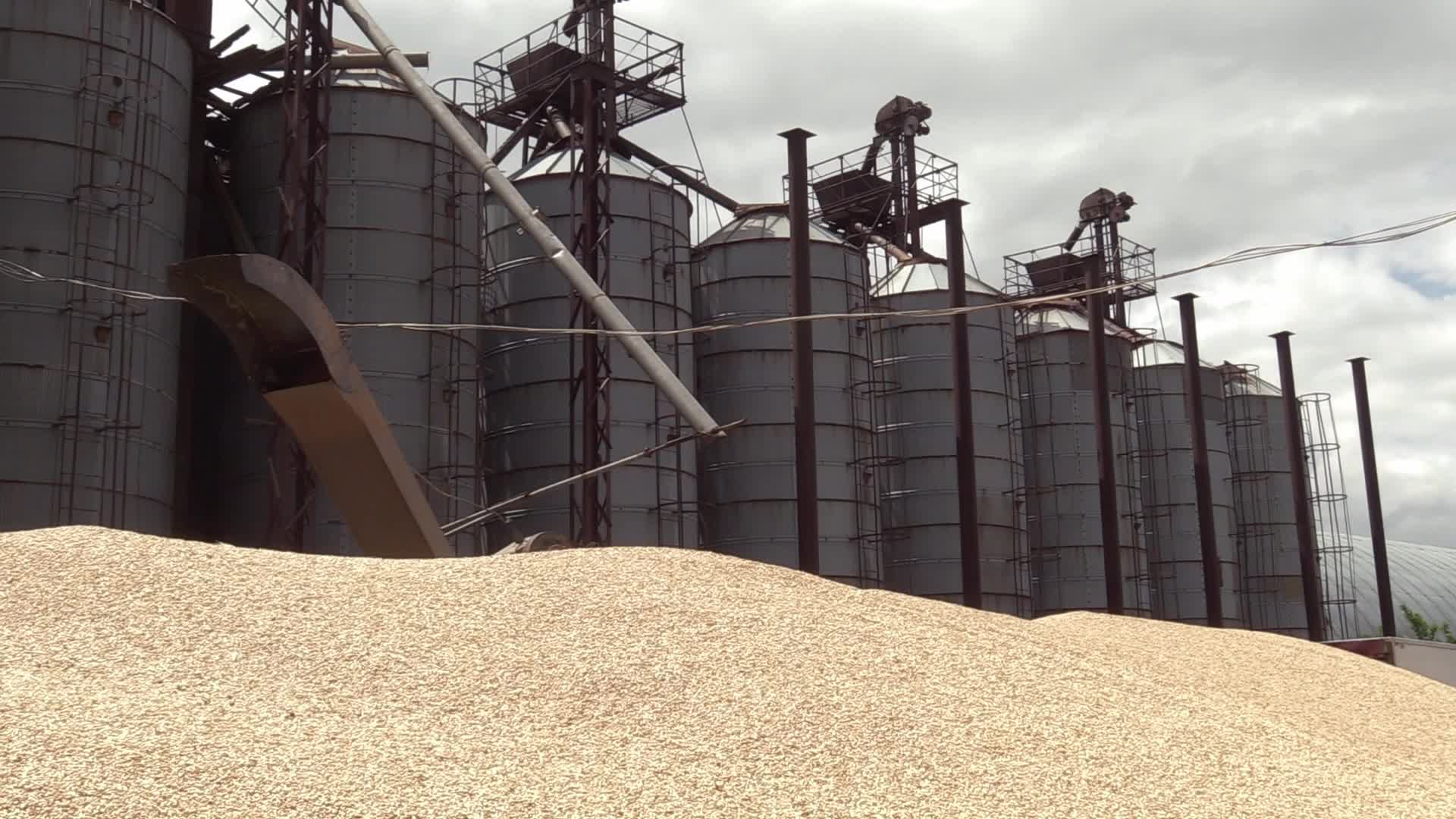 Ukrainian farmers upload barley and wheat grain at a terminal in Odesa region, amid Russia's invasion of Ukraine