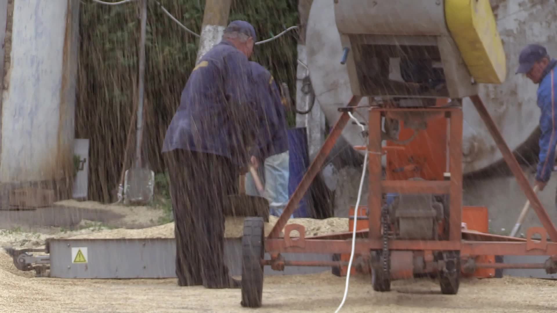 Ukrainian farmers upload barley and wheat grain at a terminal in Odesa region, amid Russia's invasion of Ukraine