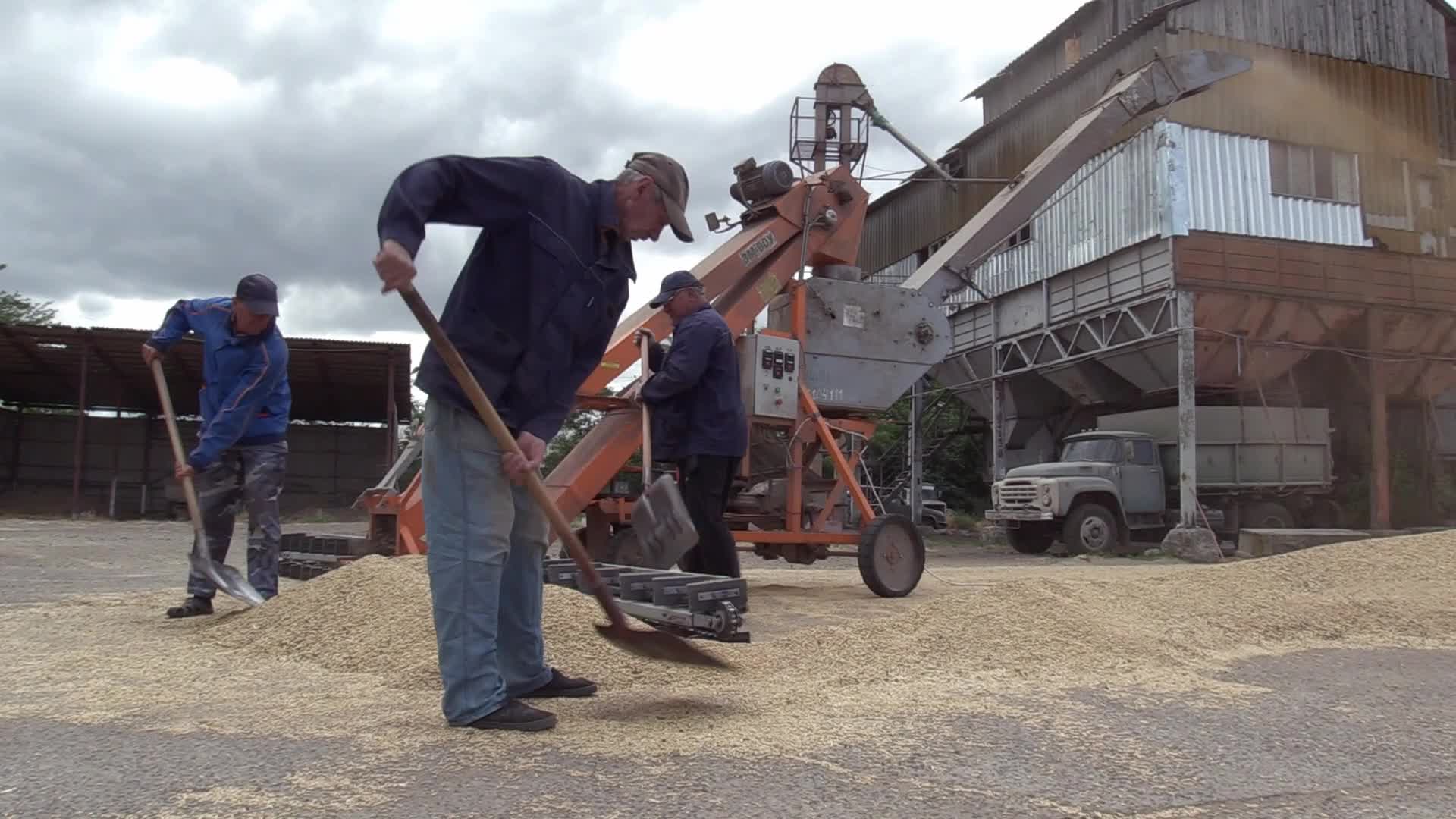 Ukrainian farmers upload barley and wheat grain at a terminal in Odesa region, amid Russia's invasion of Ukraine