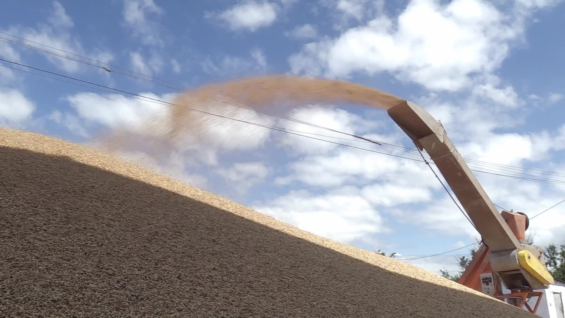 Ukrainian farmers upload barley and wheat grain at a terminal in Odesa region, amid Russia's invasion of Ukraine