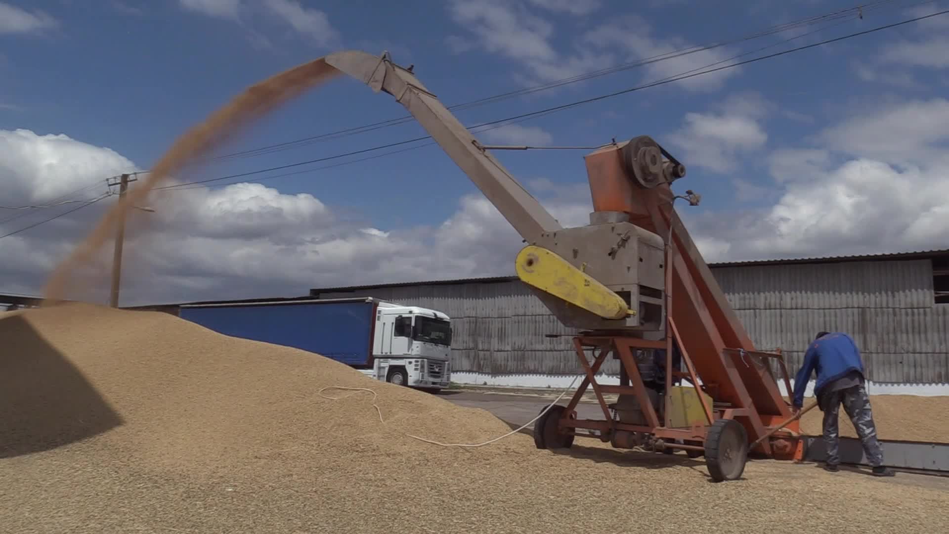 Ukrainian farmers upload barley and wheat grain at a terminal in Odesa region, amid Russia's invasion of Ukraine