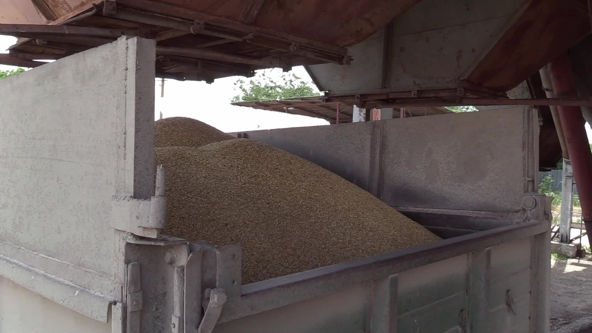 Ukrainian farmers upload barley and wheat grain at a terminal in Odesa region, amid Russia's invasion of Ukraine