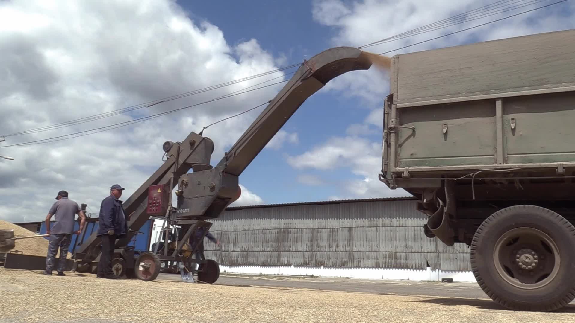 Ukrainian farmers upload barley and wheat grain at a terminal in Odesa region, amid Russia's invasion of Ukraine