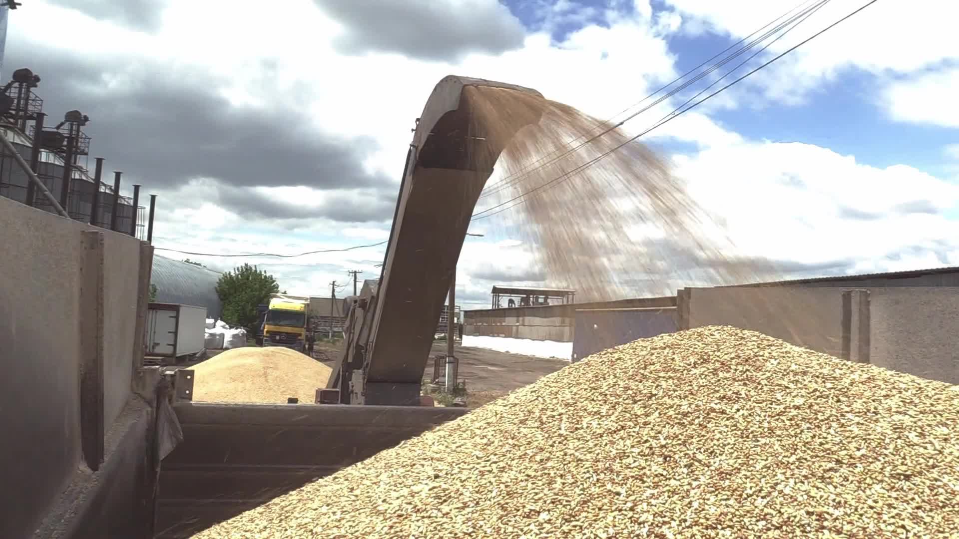 Ukrainian farmers upload barley and wheat grain at a terminal in Odesa region, amid Russia's invasion of Ukraine
