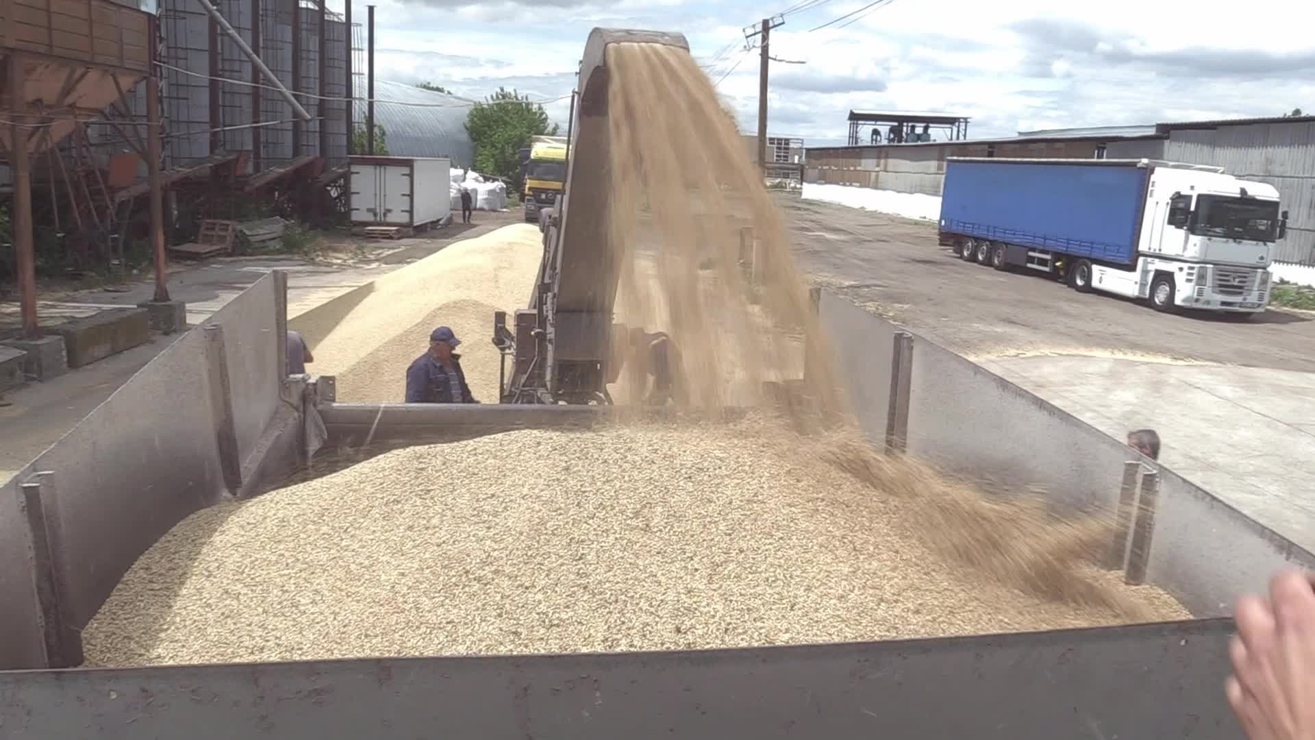 Ukrainian farmers upload barley and wheat grain at a terminal in Odesa region, amid Russia's invasion of Ukraine