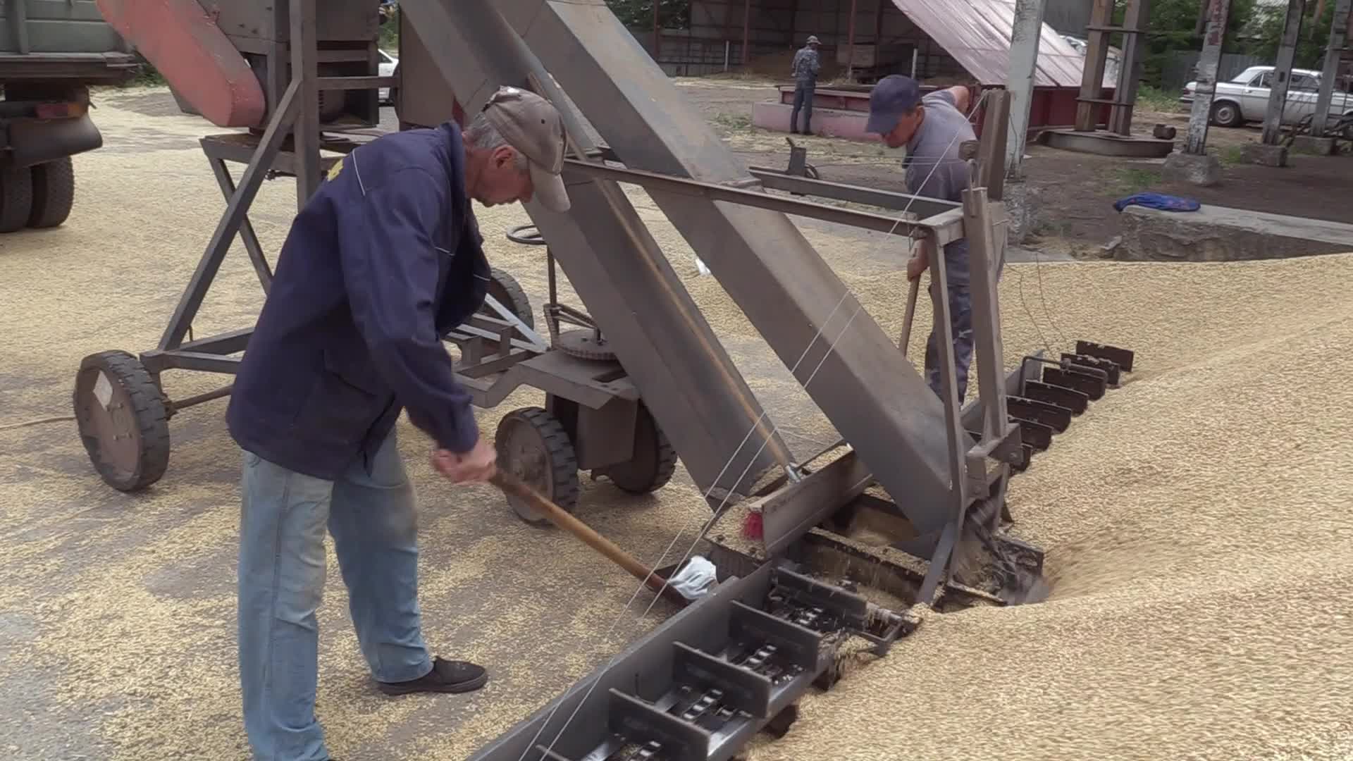 Ukrainian farmers upload barley and wheat grain at a terminal in Odesa region, amid Russia's invasion of Ukraine