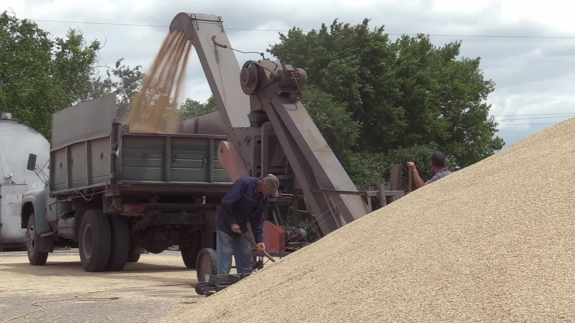 Ukrainian farmers upload barley and wheat grain at a terminal in Odesa region, amid Russia's invasion of Ukraine