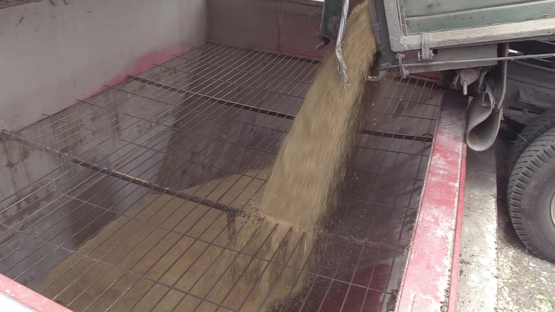 Ukrainian farmers upload barley and wheat grain at a terminal in Odesa region, amid Russia's invasion of Ukraine