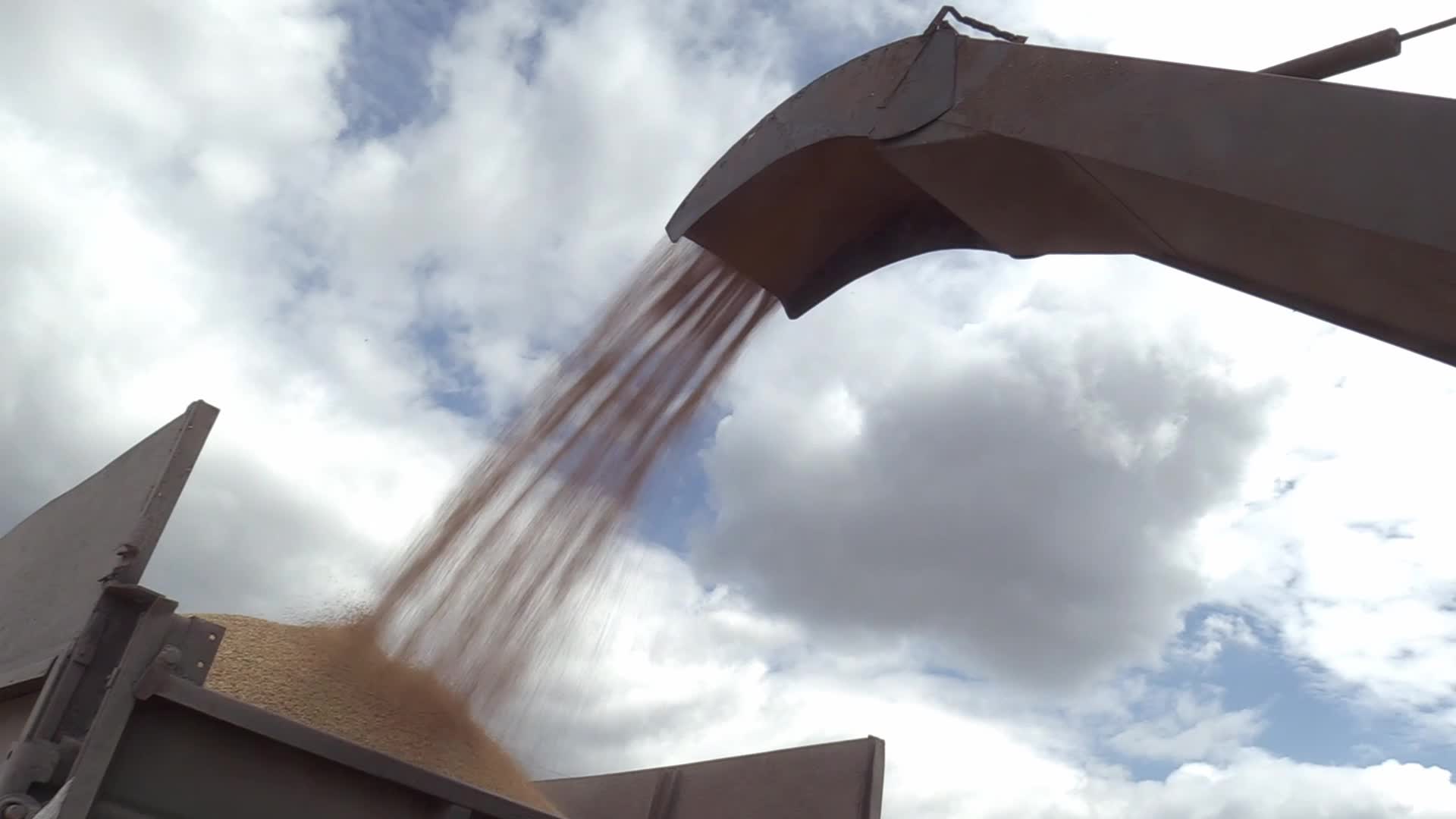 Ukrainian farmers upload barley and wheat grain at a terminal in Odesa region, amid Russia's invasion of Ukraine