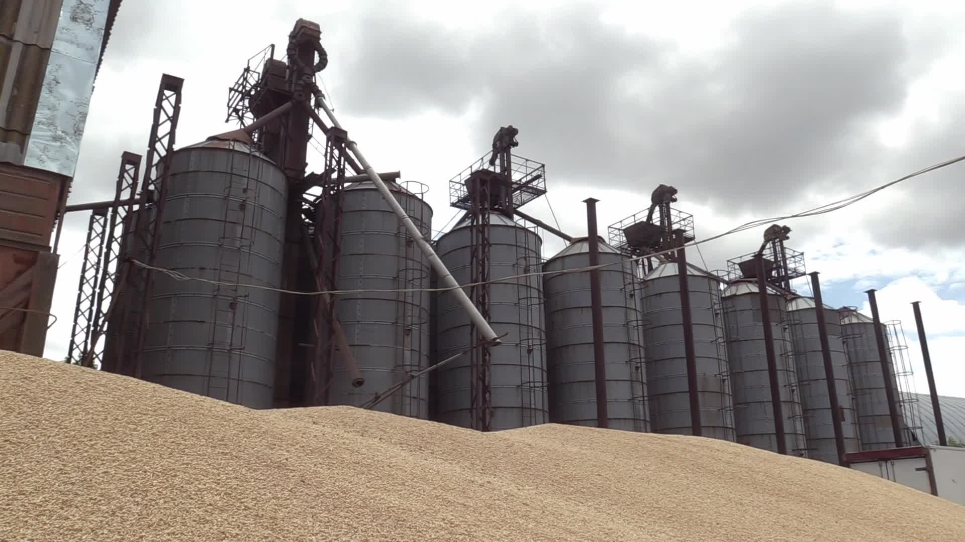 Ukrainian farmers upload barley and wheat grain at a terminal in Odesa region, amid Russia's invasion of Ukraine