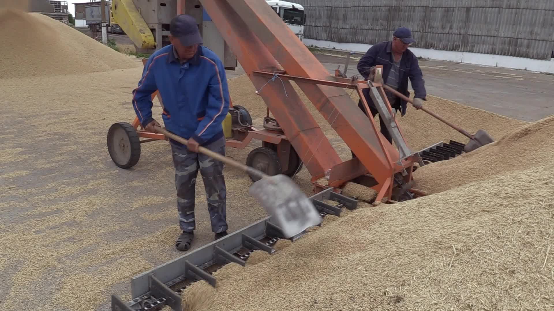 Ukrainian farmers upload barley and wheat grain at a terminal in Odesa region, amid Russia's invasion of Ukraine