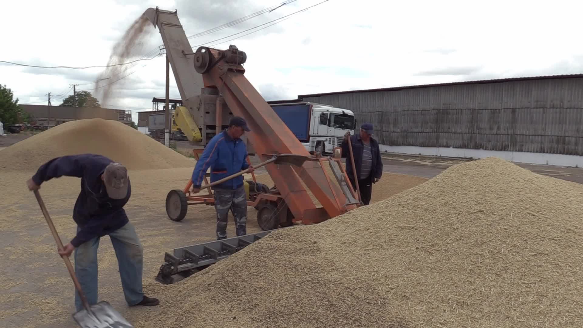 Ukrainian farmers upload barley and wheat grain at a terminal in Odesa region, amid Russia's invasion of Ukraine