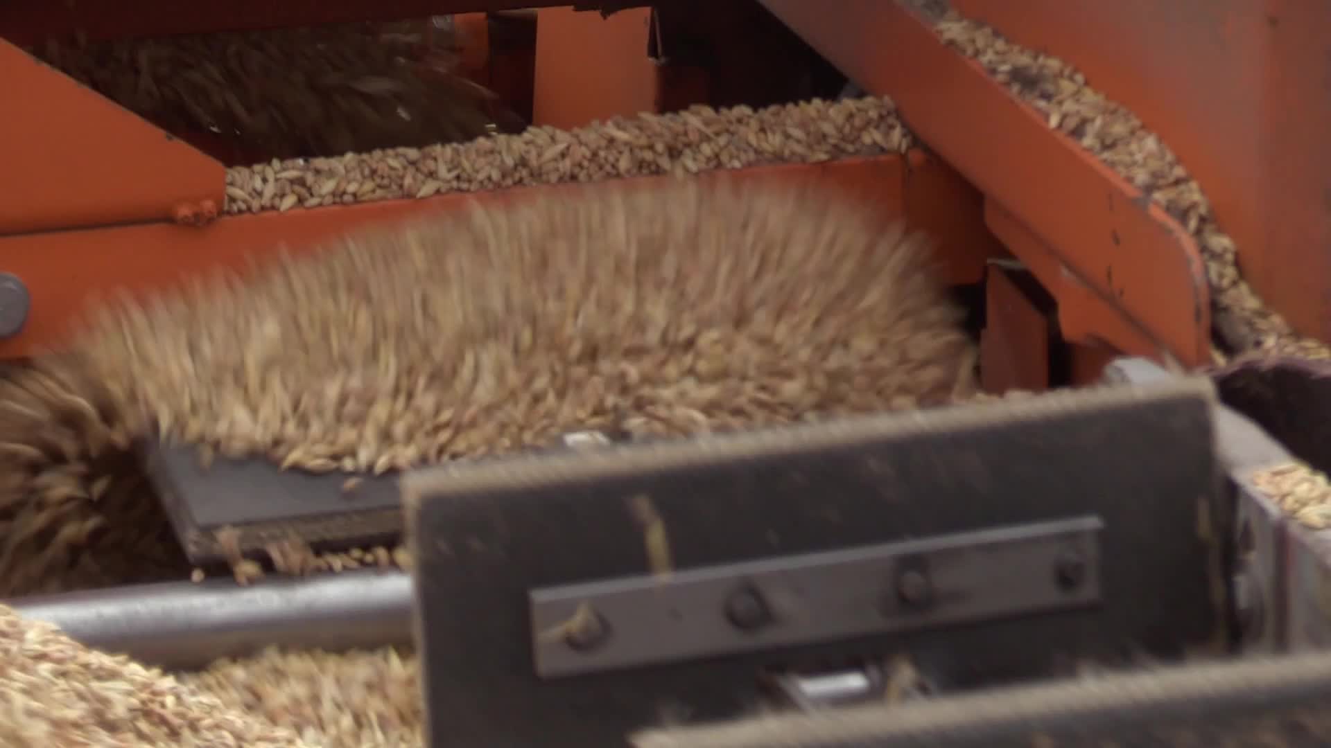 Ukrainian farmers upload barley and wheat grain at a terminal in Odesa region, amid Russia's invasion of Ukraine