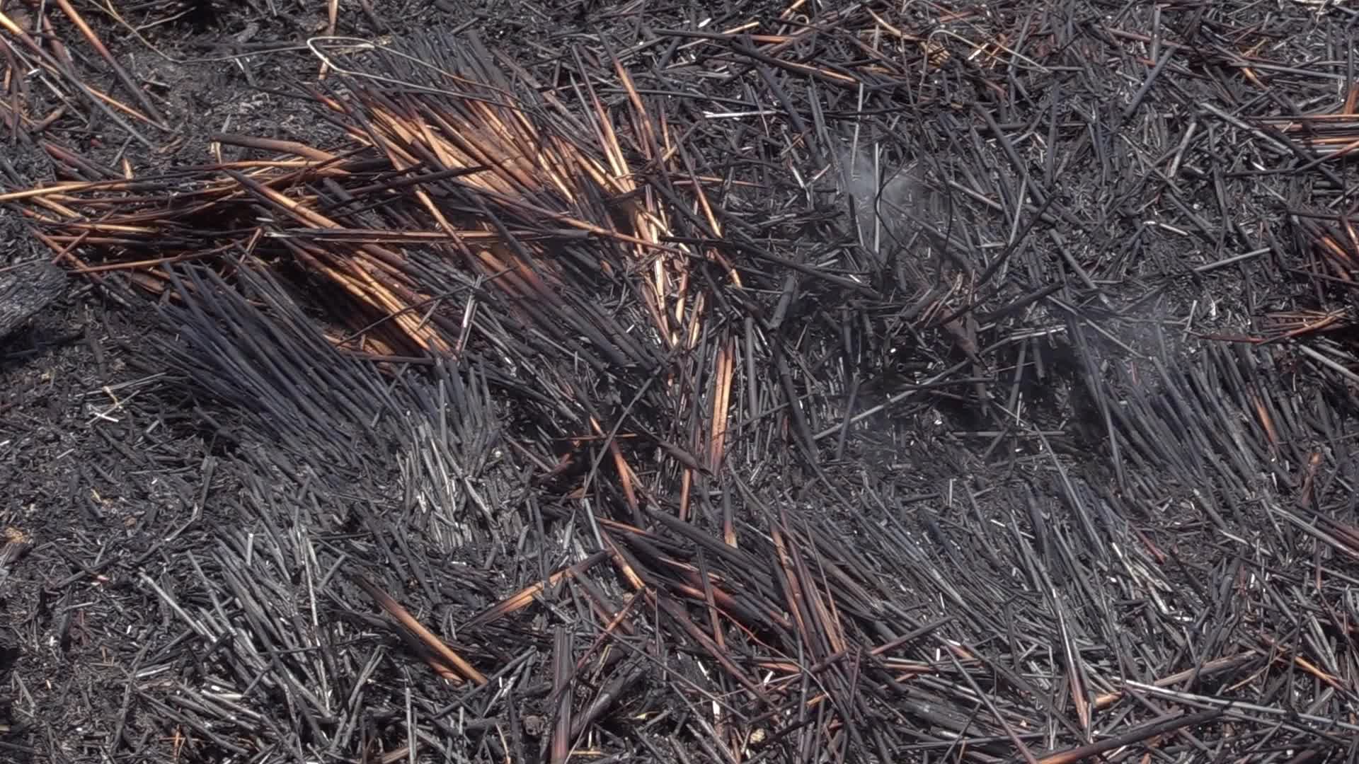 Aftermath of a rocket strike in Odesa region, amid Russian invasion in Ukraine
