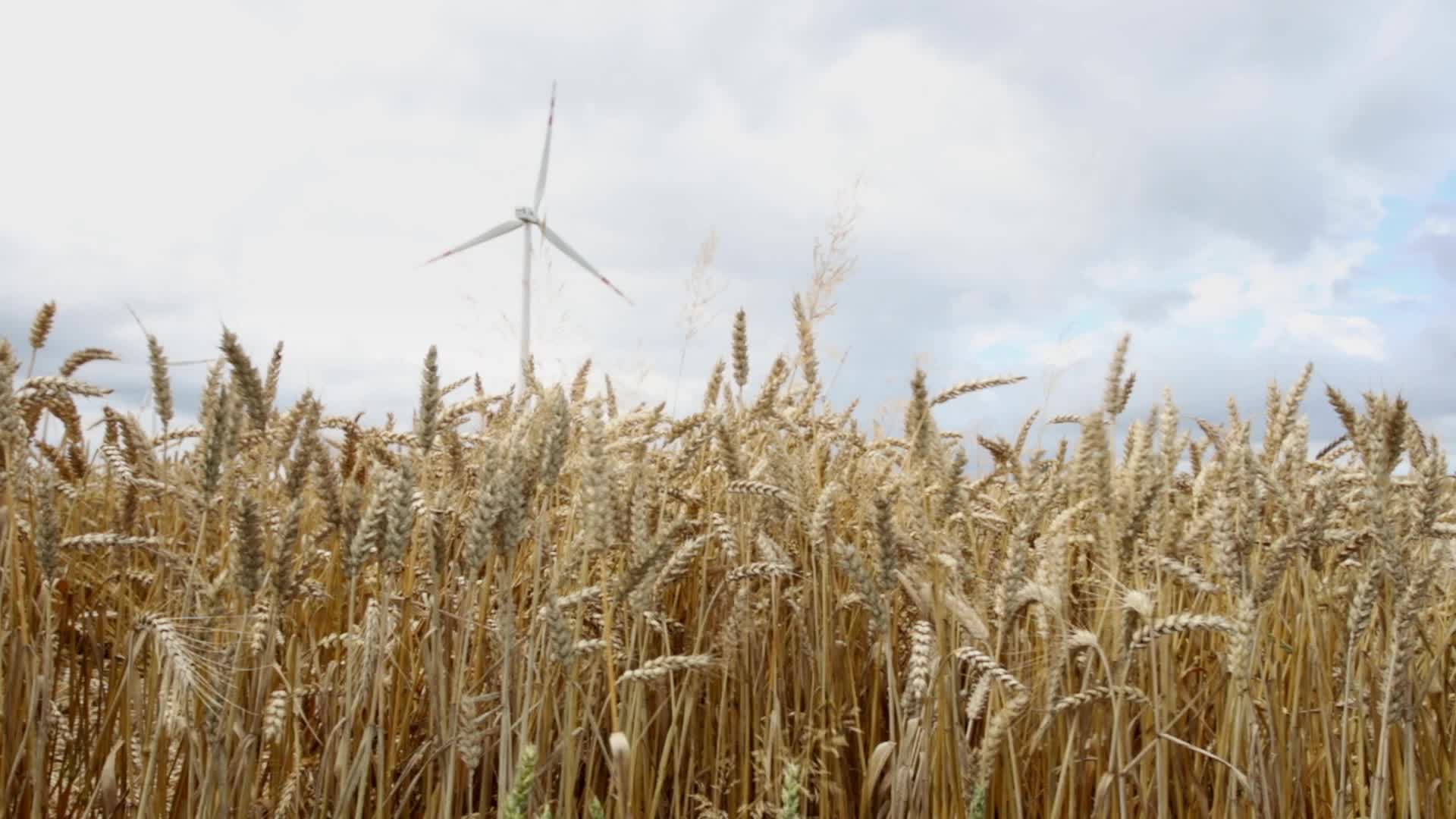 Windmills seen near Puck in Poland