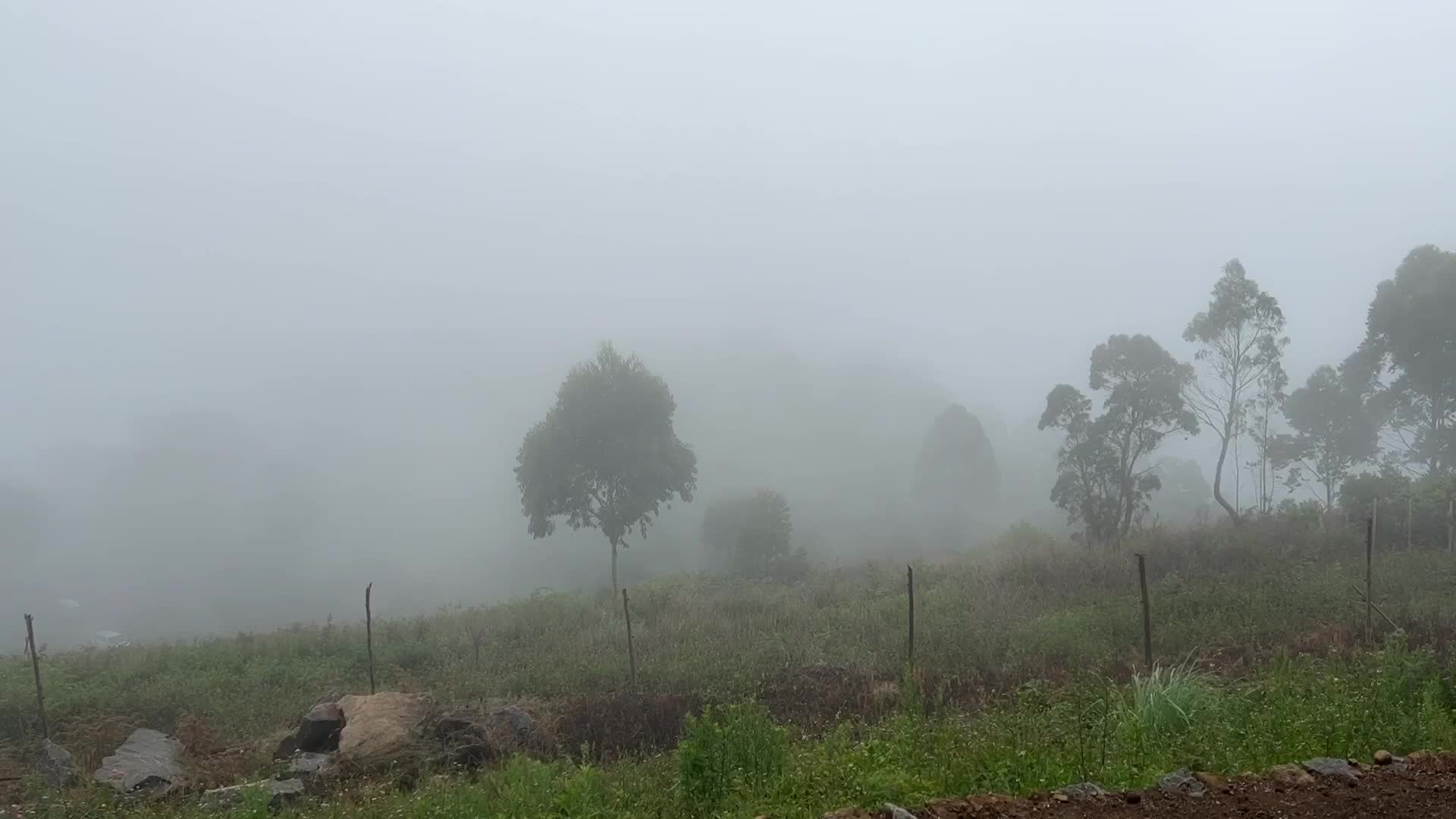 Thick fog high in the mountains in Dindigul