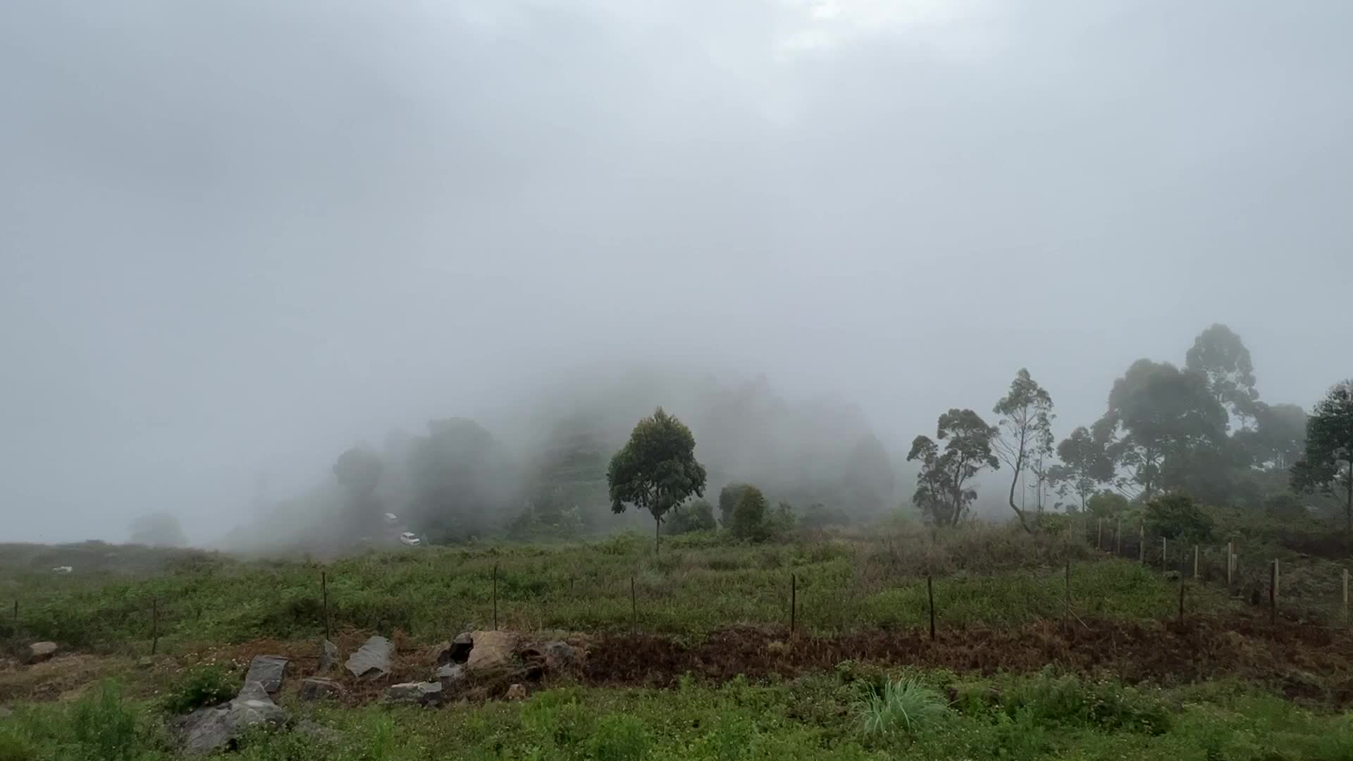 Thick fog high in the mountains in Dindigul