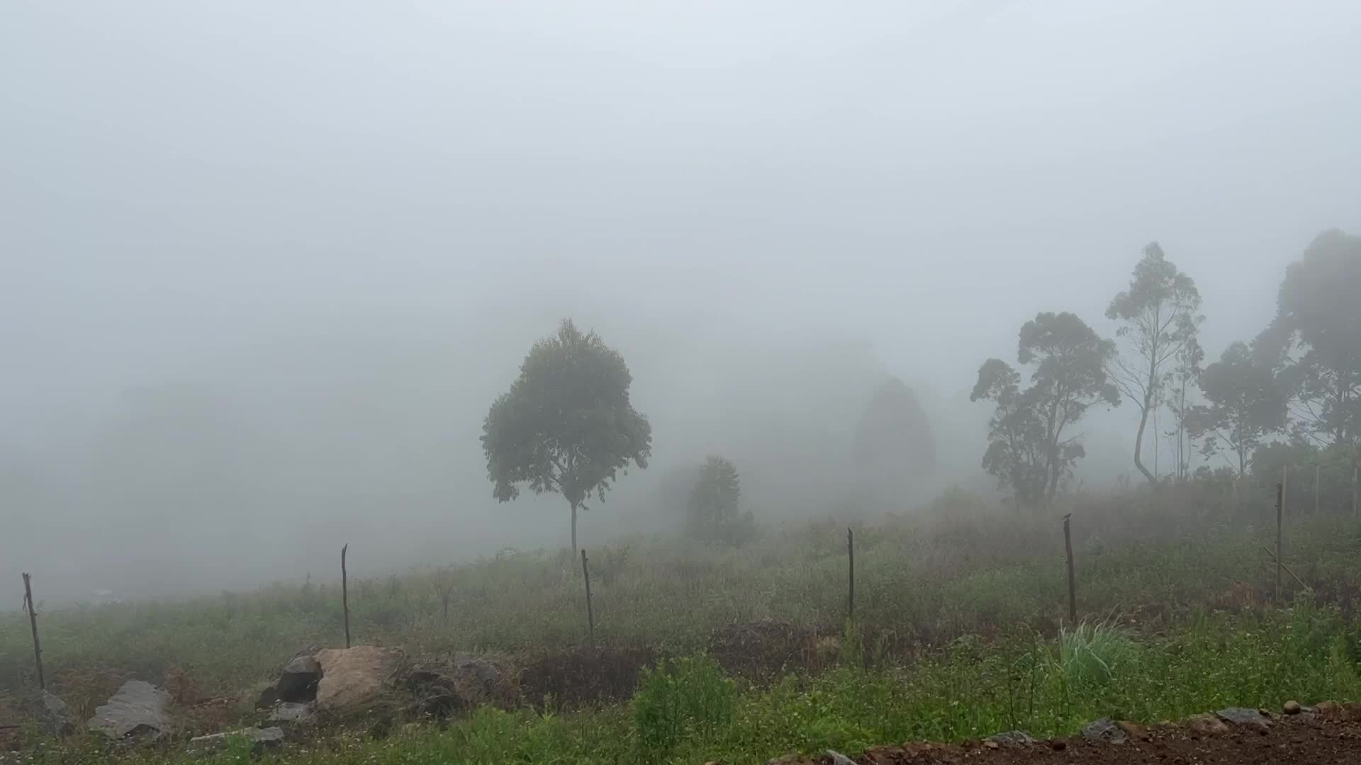 Thick fog high in the mountains in Dindigul