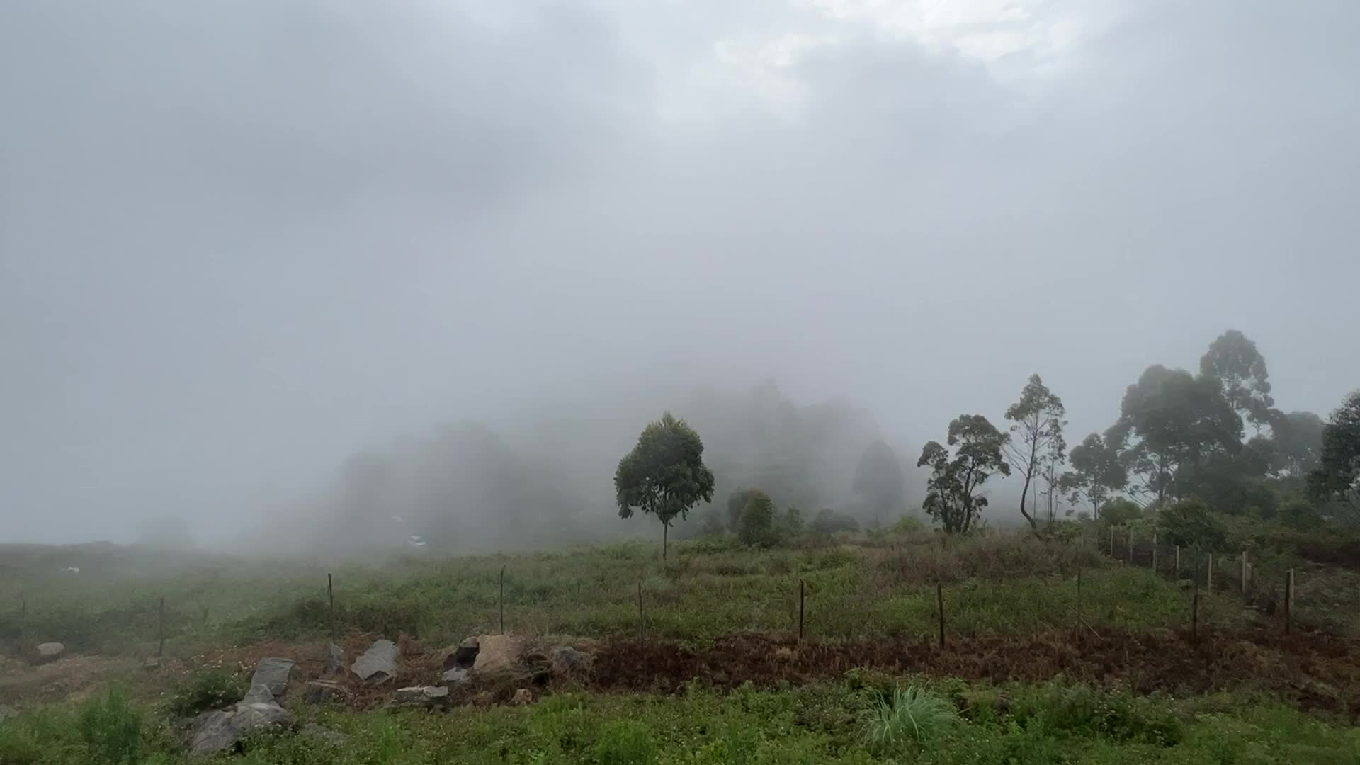 Thick fog high in the mountains in Dindigul