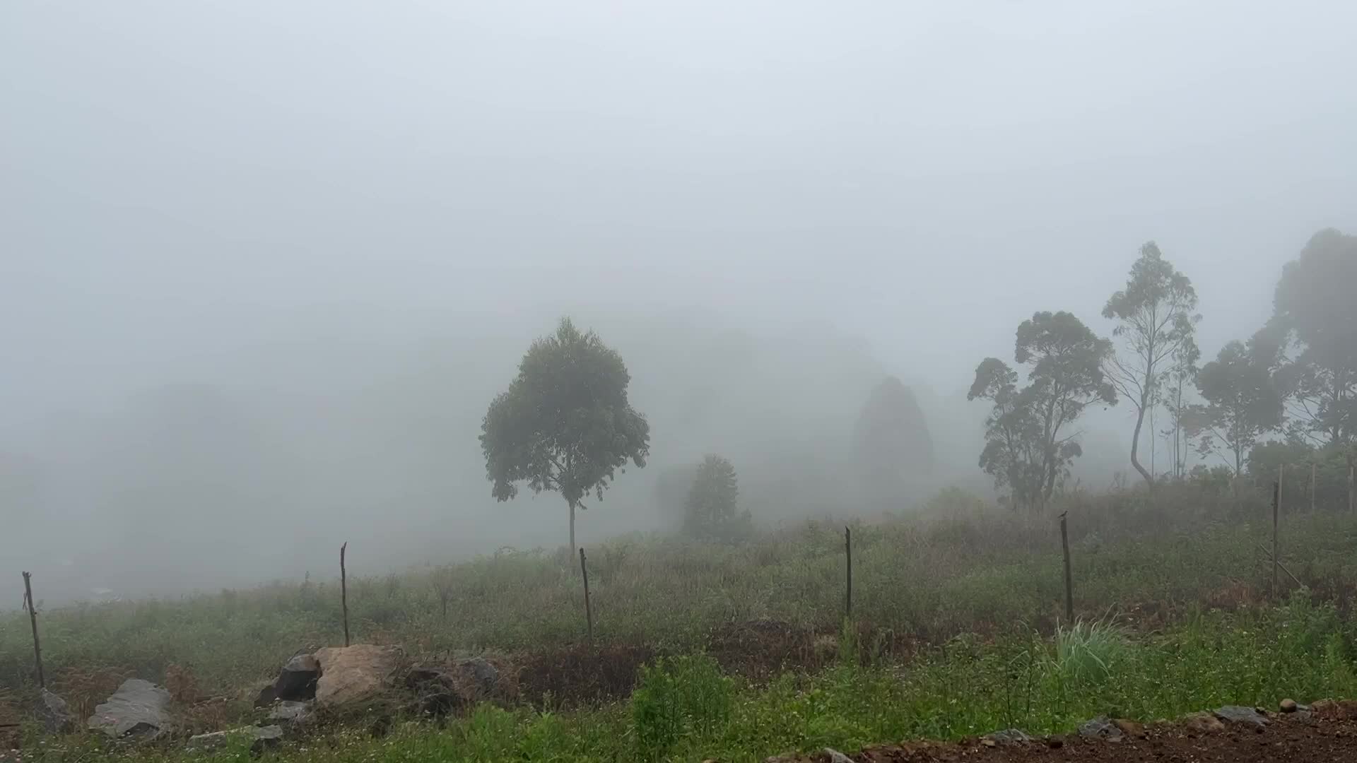 Thick fog high in the mountains in Dindigul